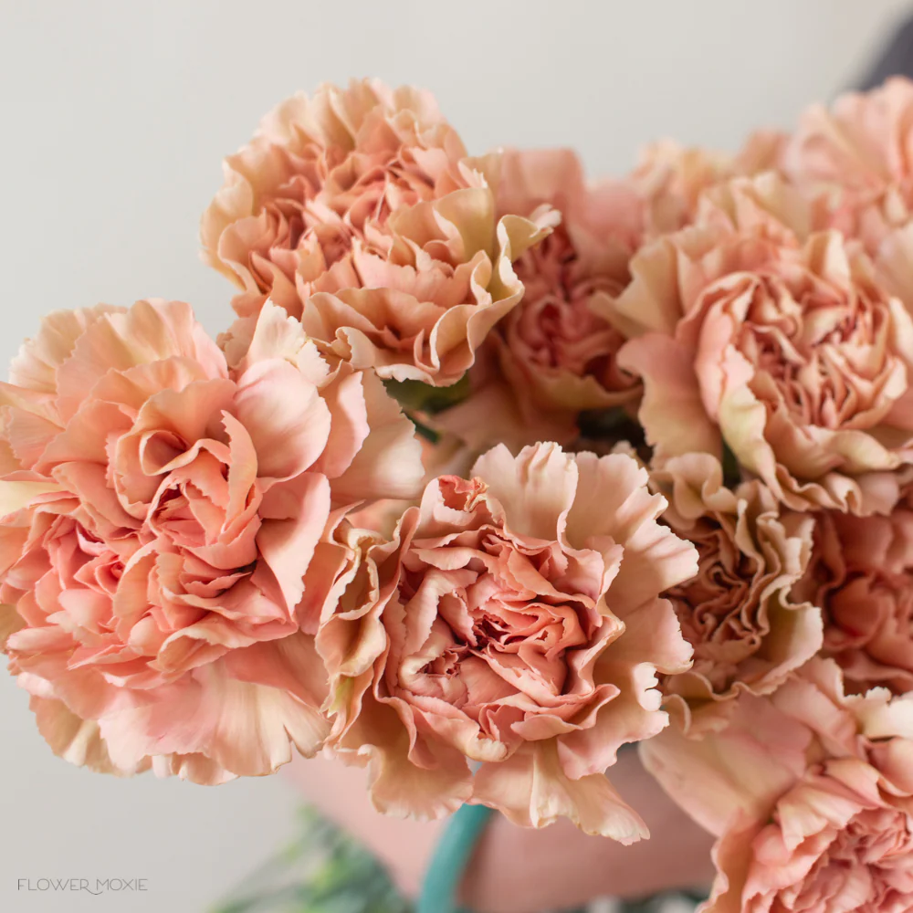 Terracotta Carnation Flower - Image 10