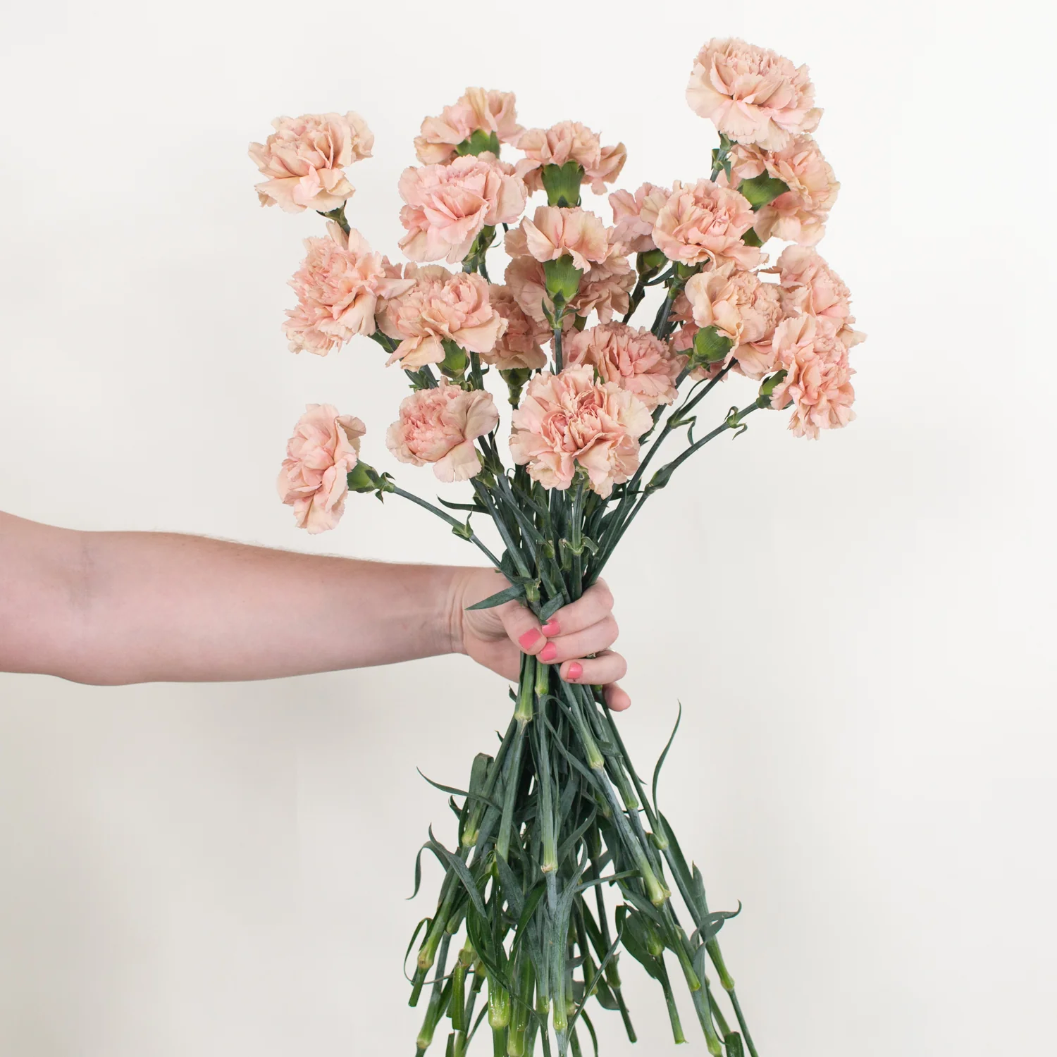 Terracotta Carnation Flower - Image 11