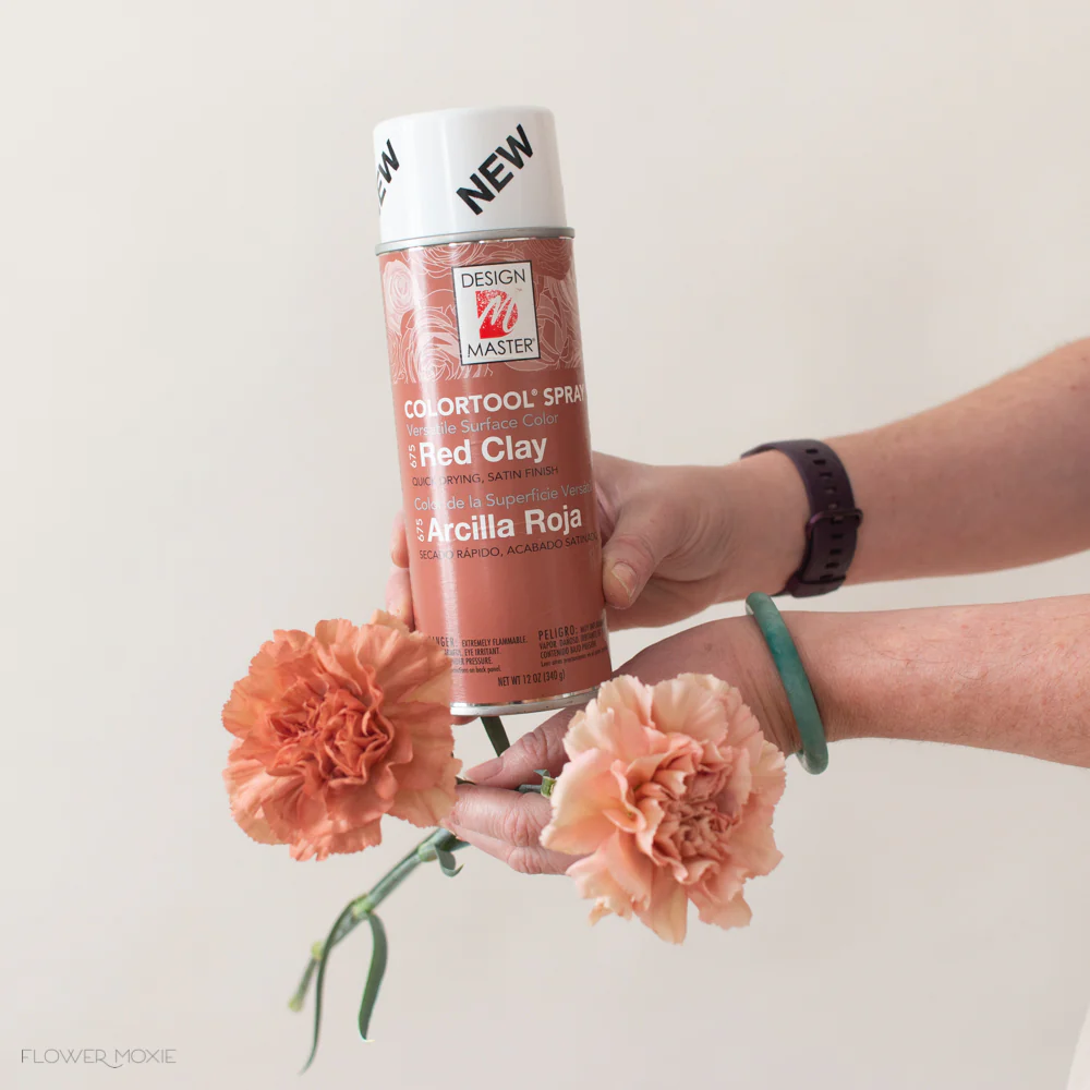 Terracotta Carnation Flower - Image 7