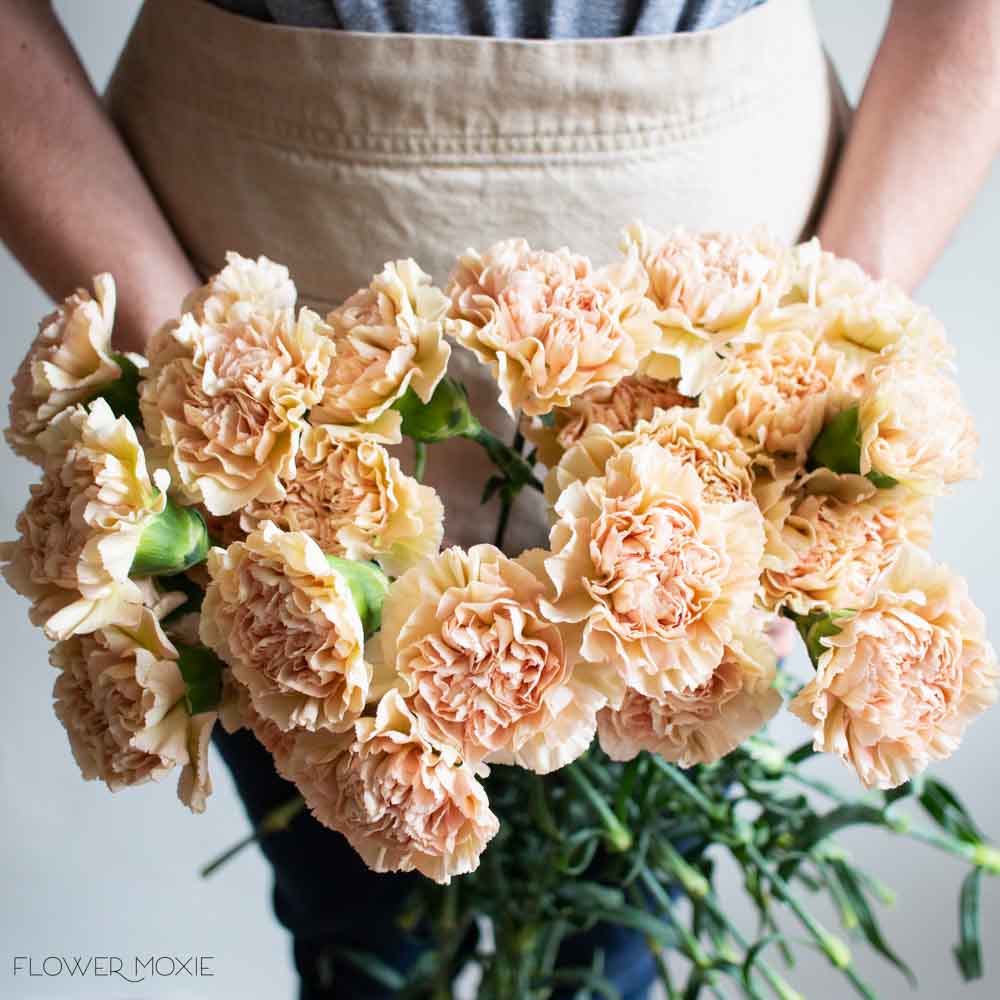 Terracotta Carnation Flower - Image 8