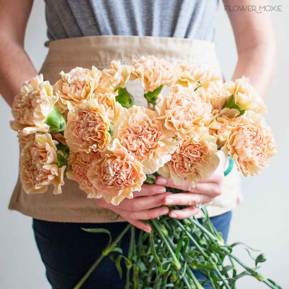 Terracotta Carnation Flower - Image 9