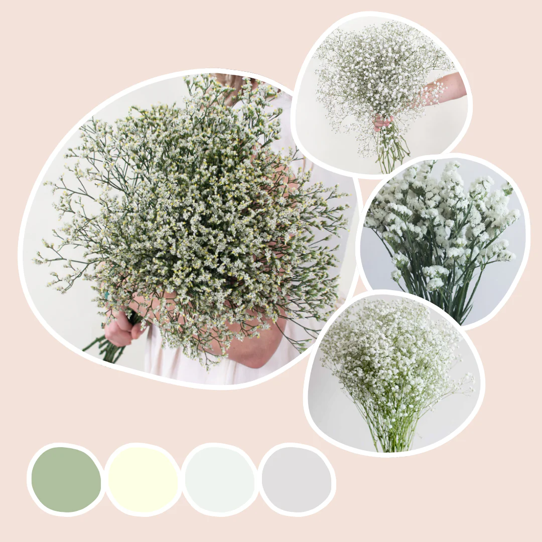 Filler Mixed Box – White Meadow