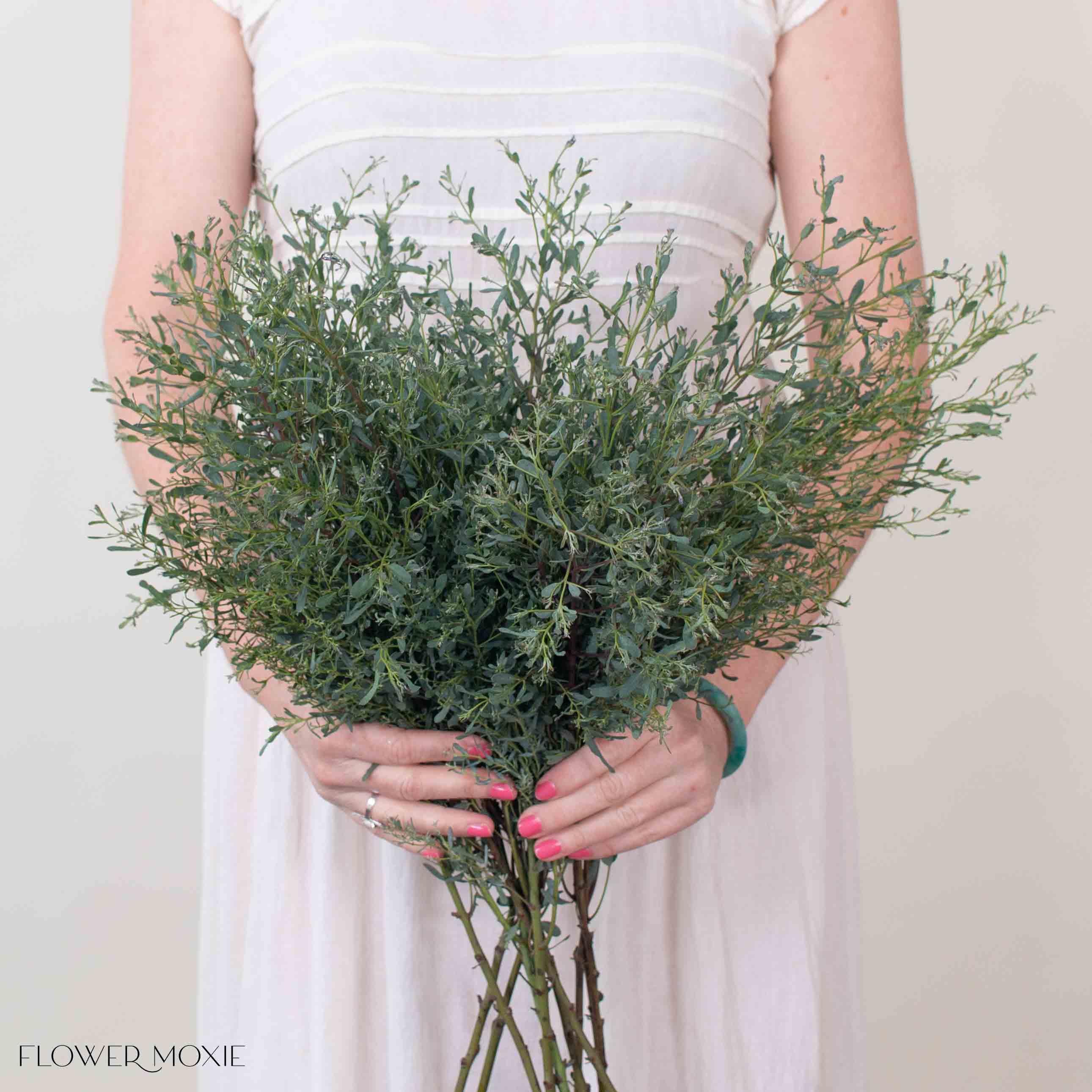 France Bleu Eucalyptus Greenery