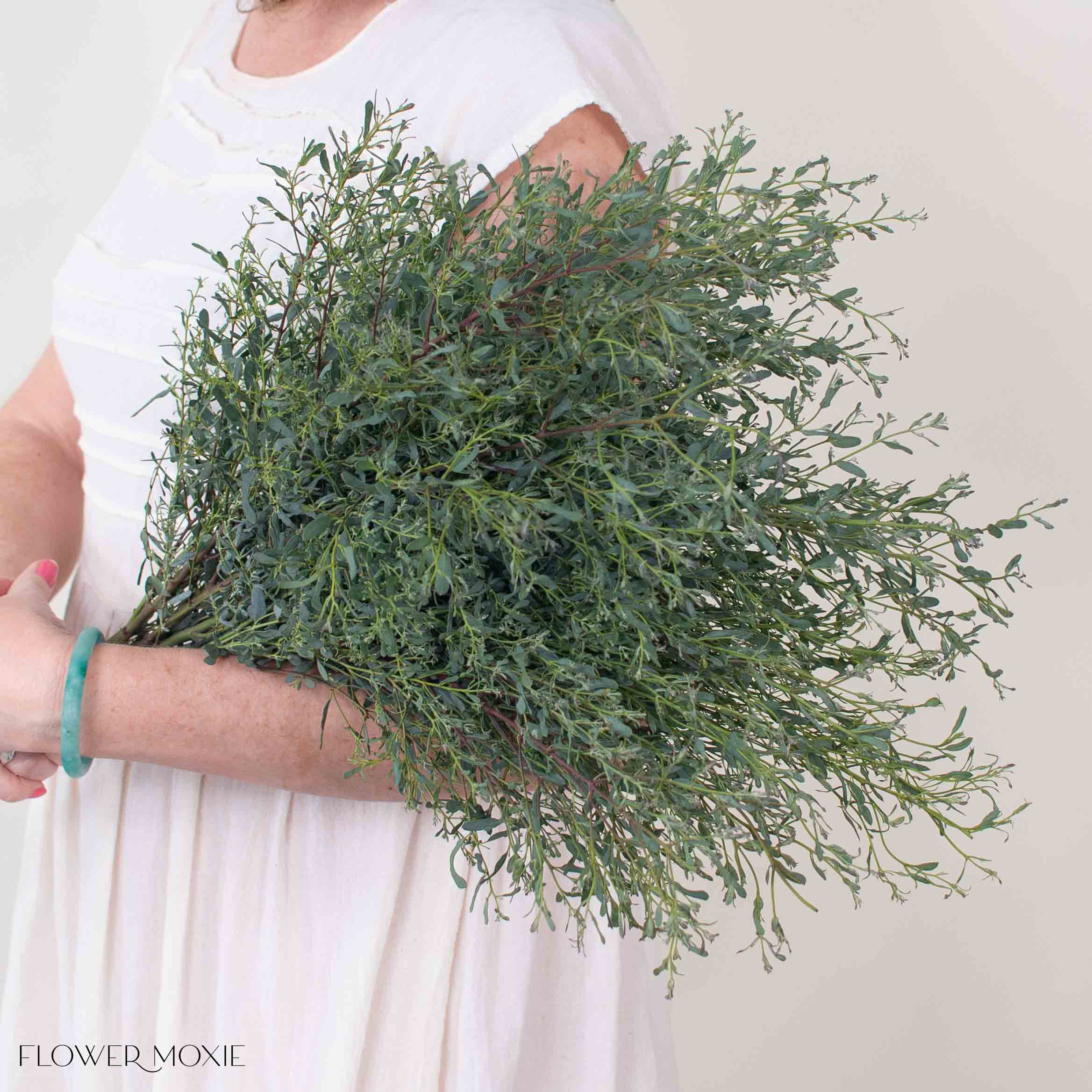 France Bleu Eucalyptus Greenery - Image 3