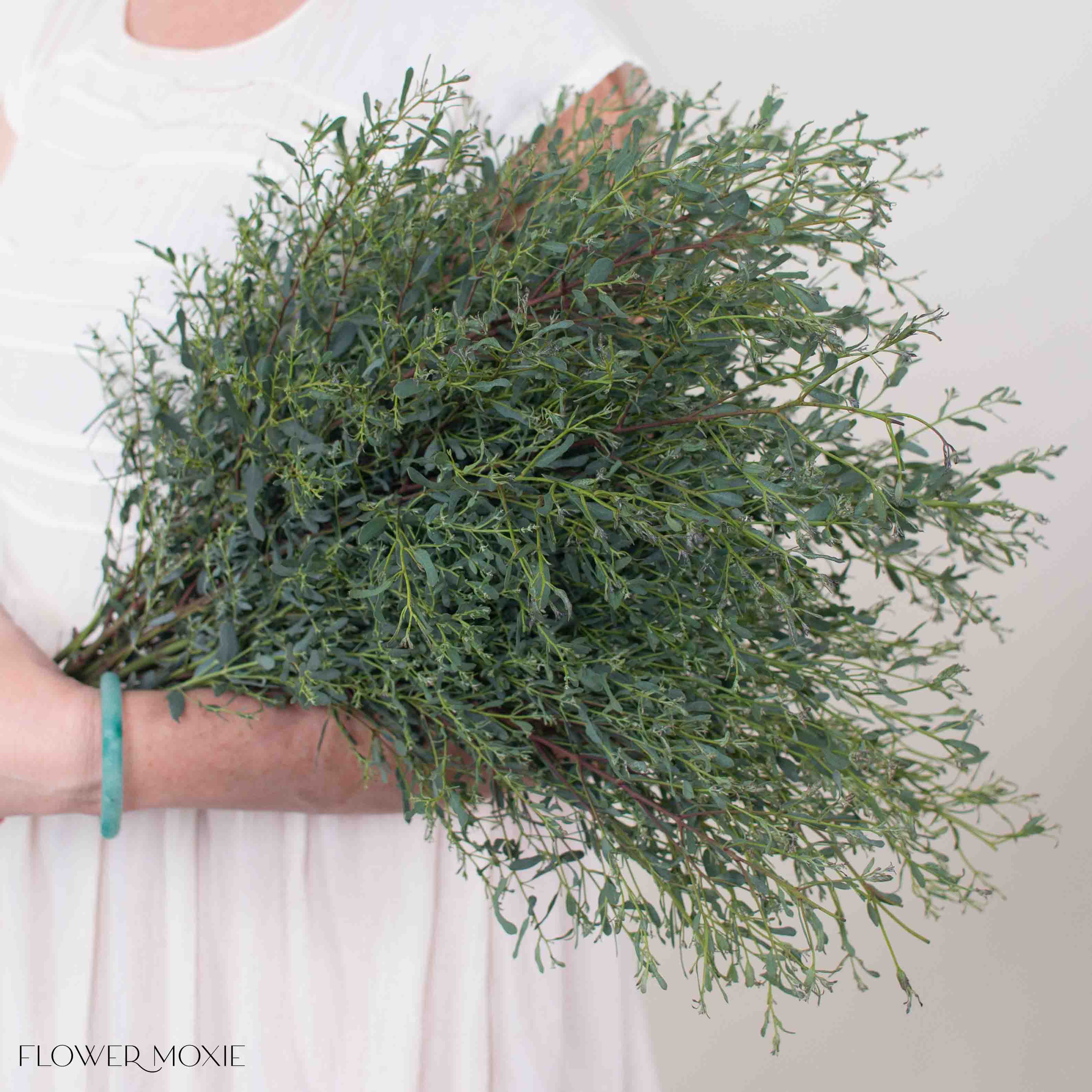 France Bleu Eucalyptus Greenery - Image 5