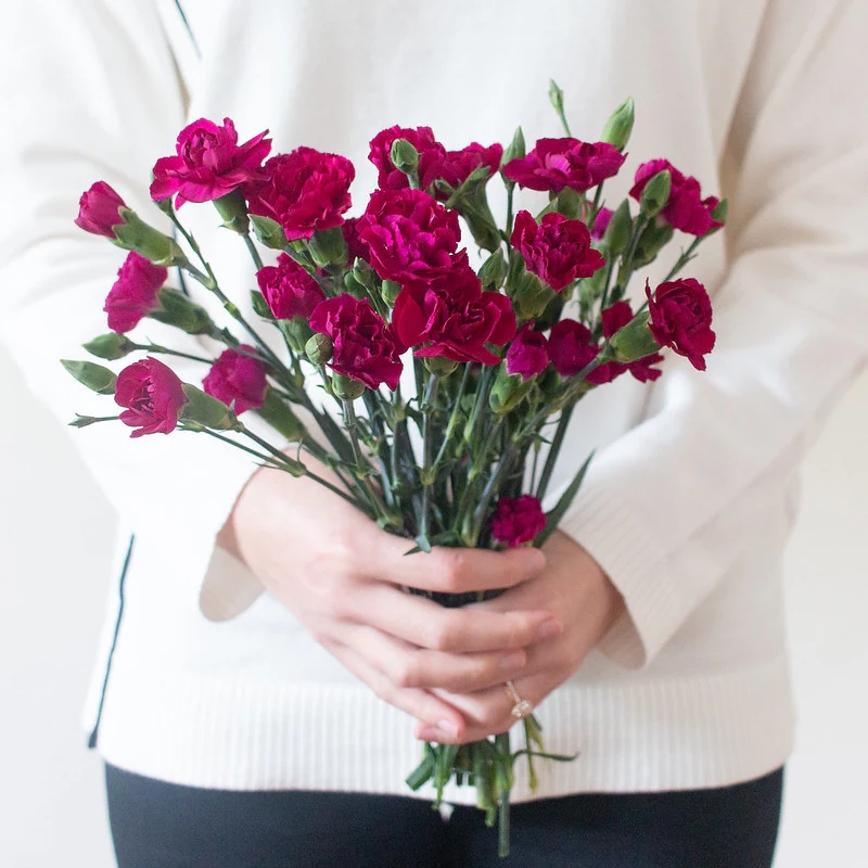 Fuchsia Mini Carnation Flower - Image 6