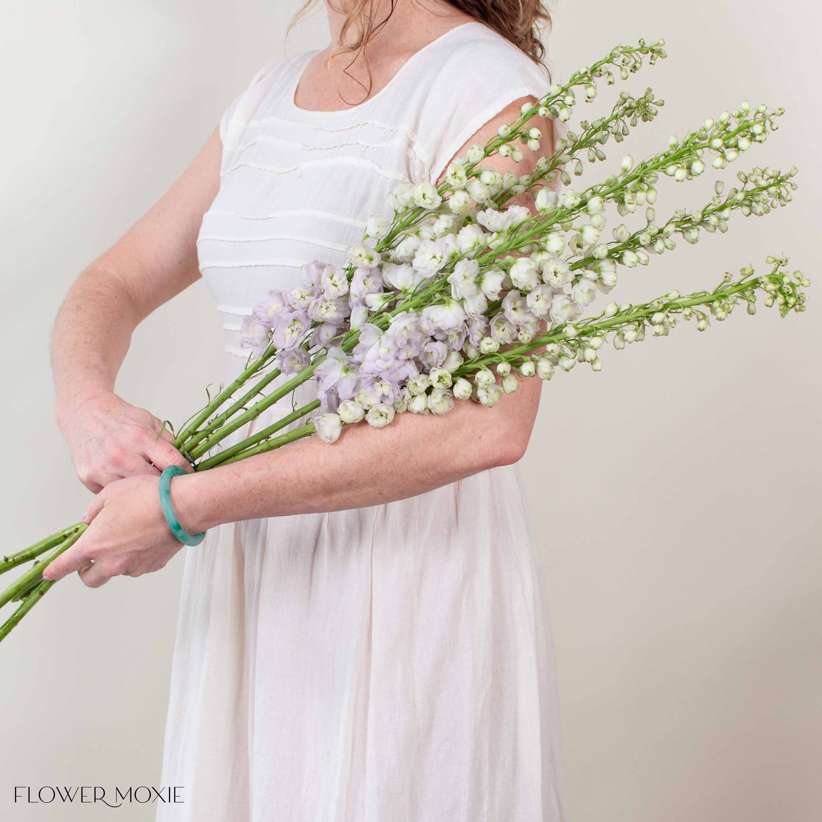 Giant Blush Hybrid Delphinium - Image 2