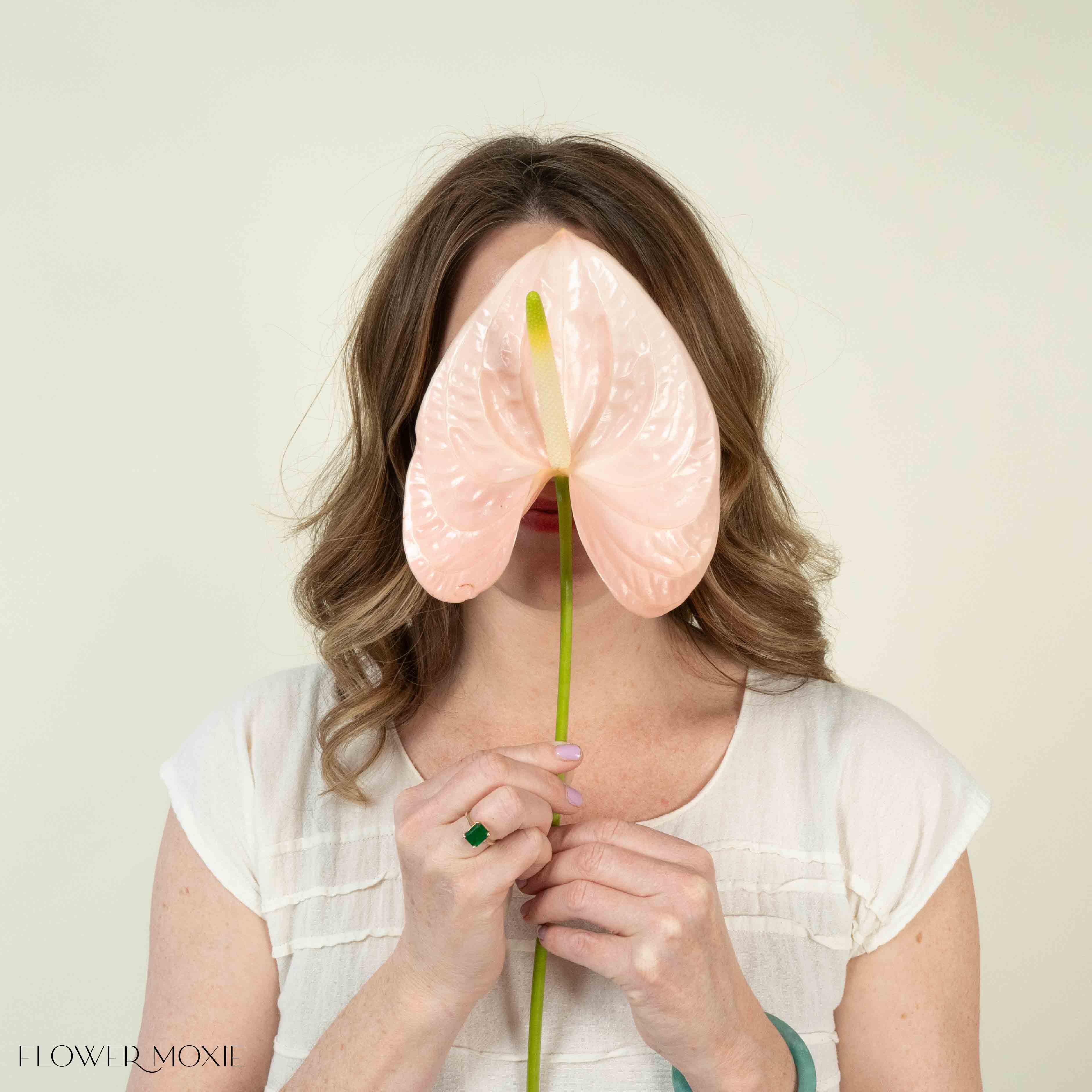 Giant Blush Italian Anthurium - Image 8