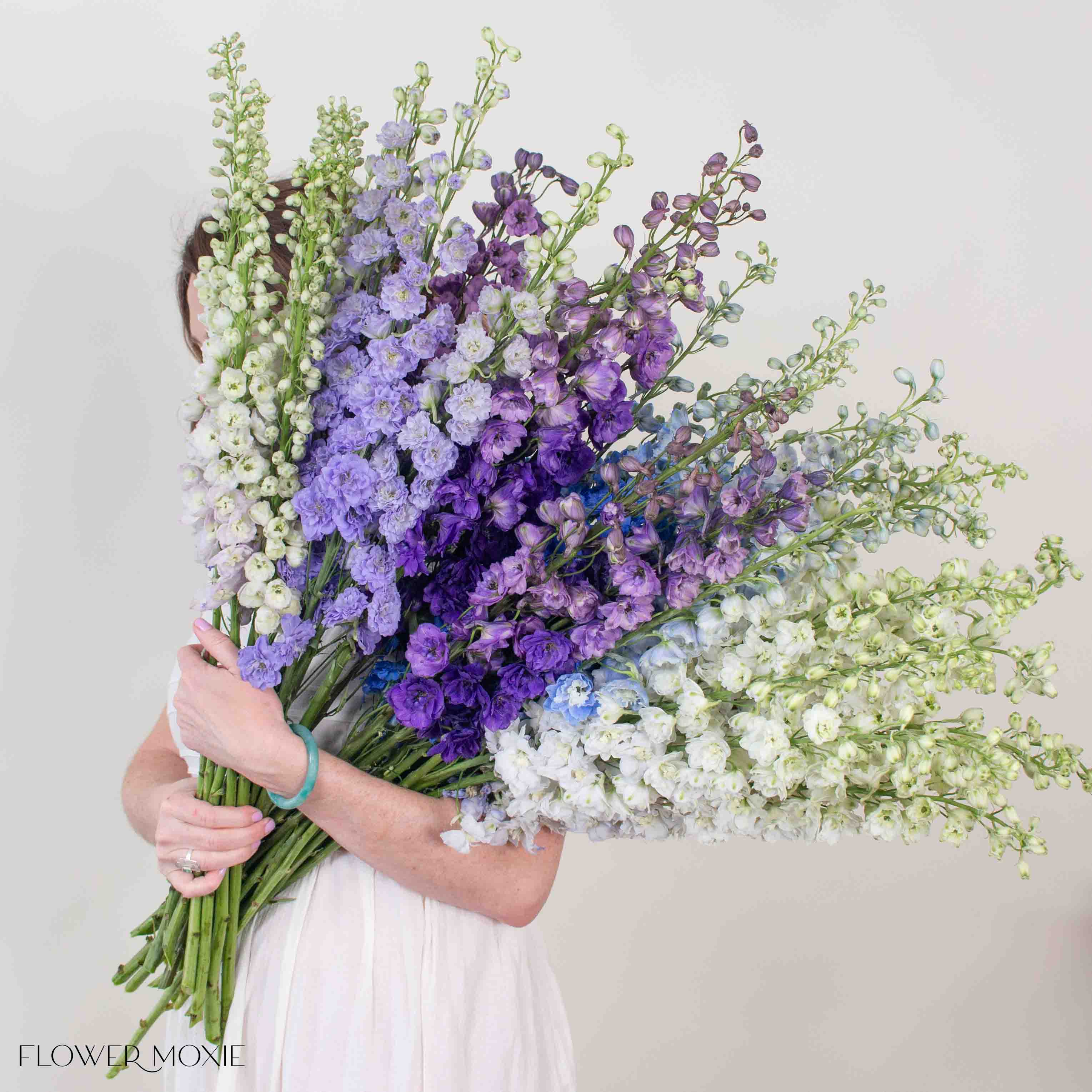 Giant Hybrid Delphinium Mixed Box - Image 3