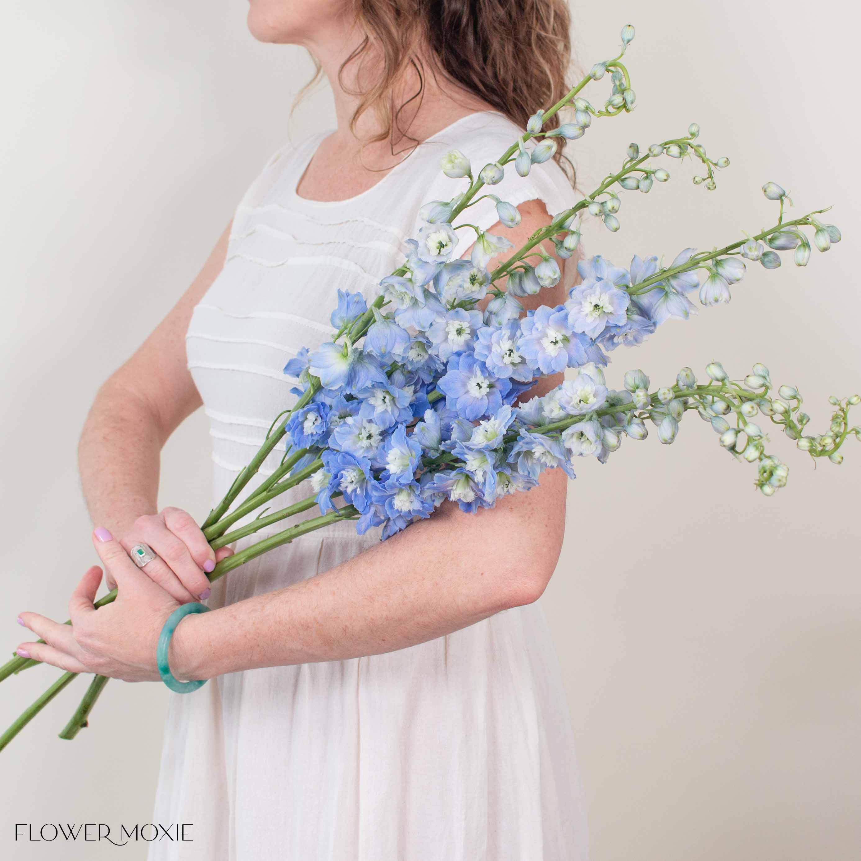 Giant Light Blue Hybrid Delphinium - Image 4