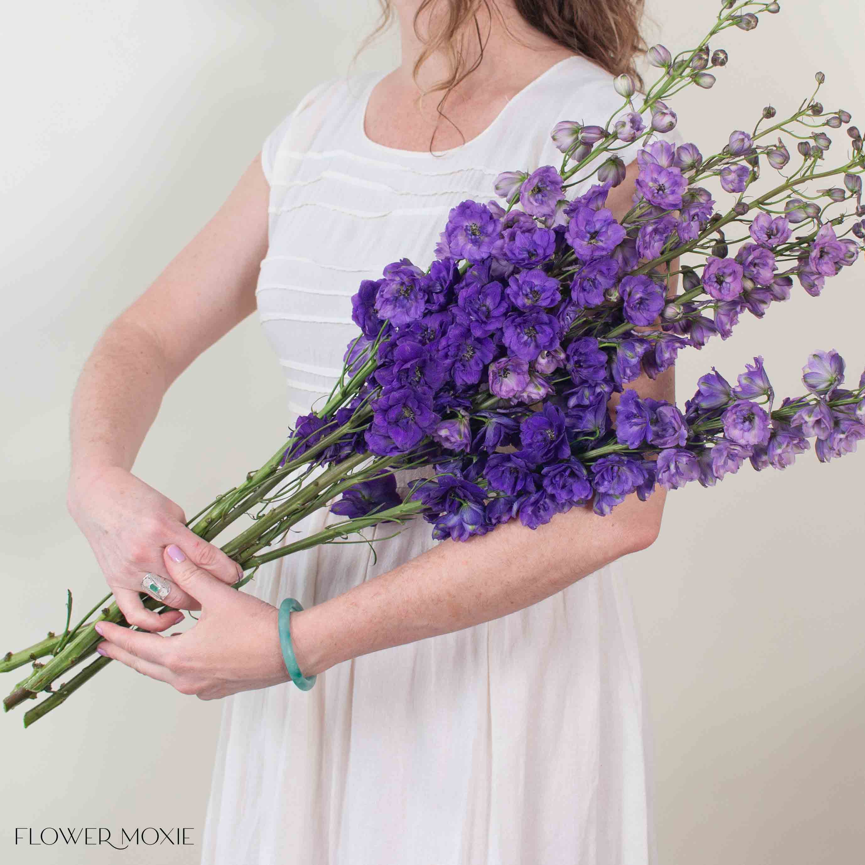 Giant Purple Hybrid Delphinium - Image 2