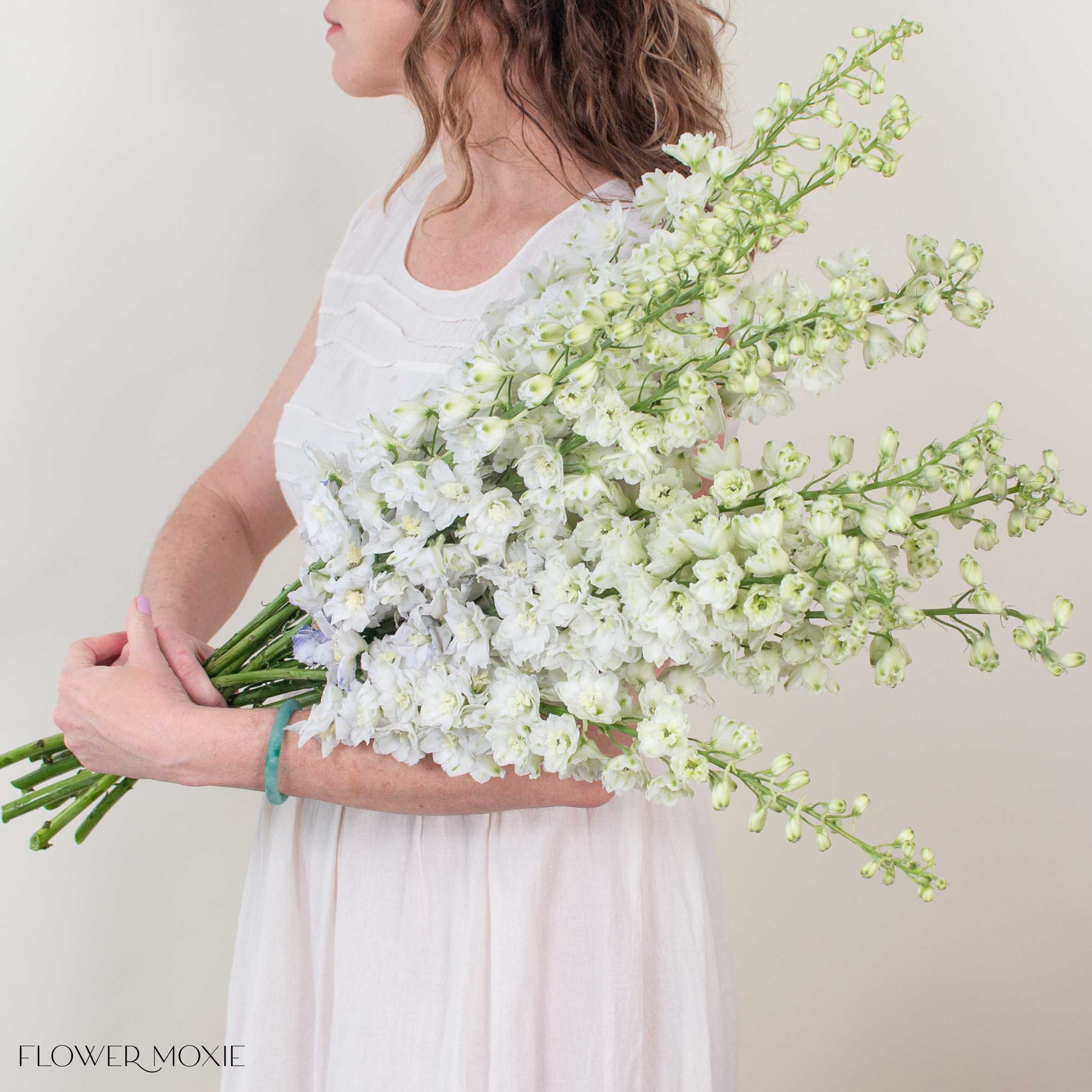 Giant White Hybrid Delphinium - Image 2