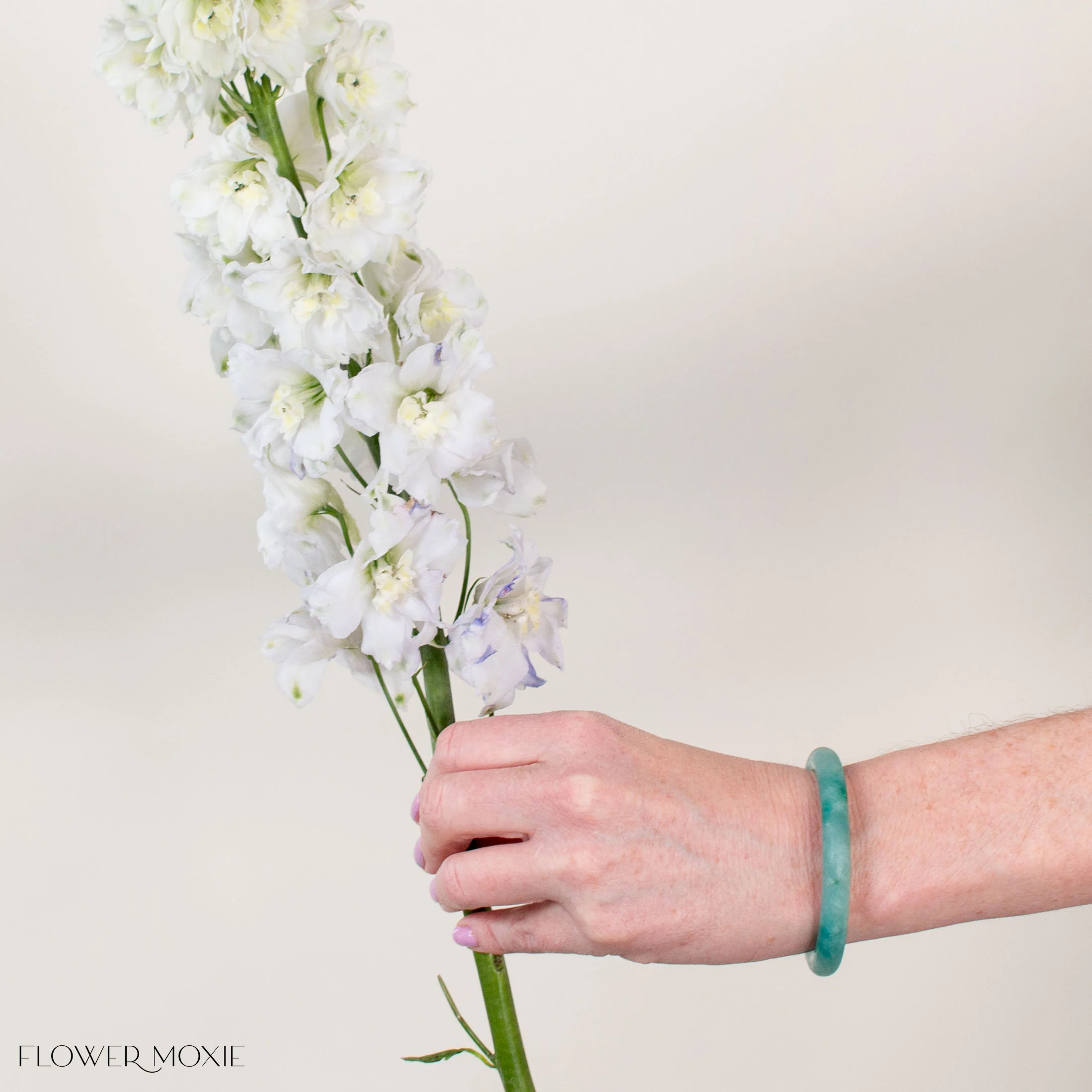 Giant White Hybrid Delphinium - Image 5