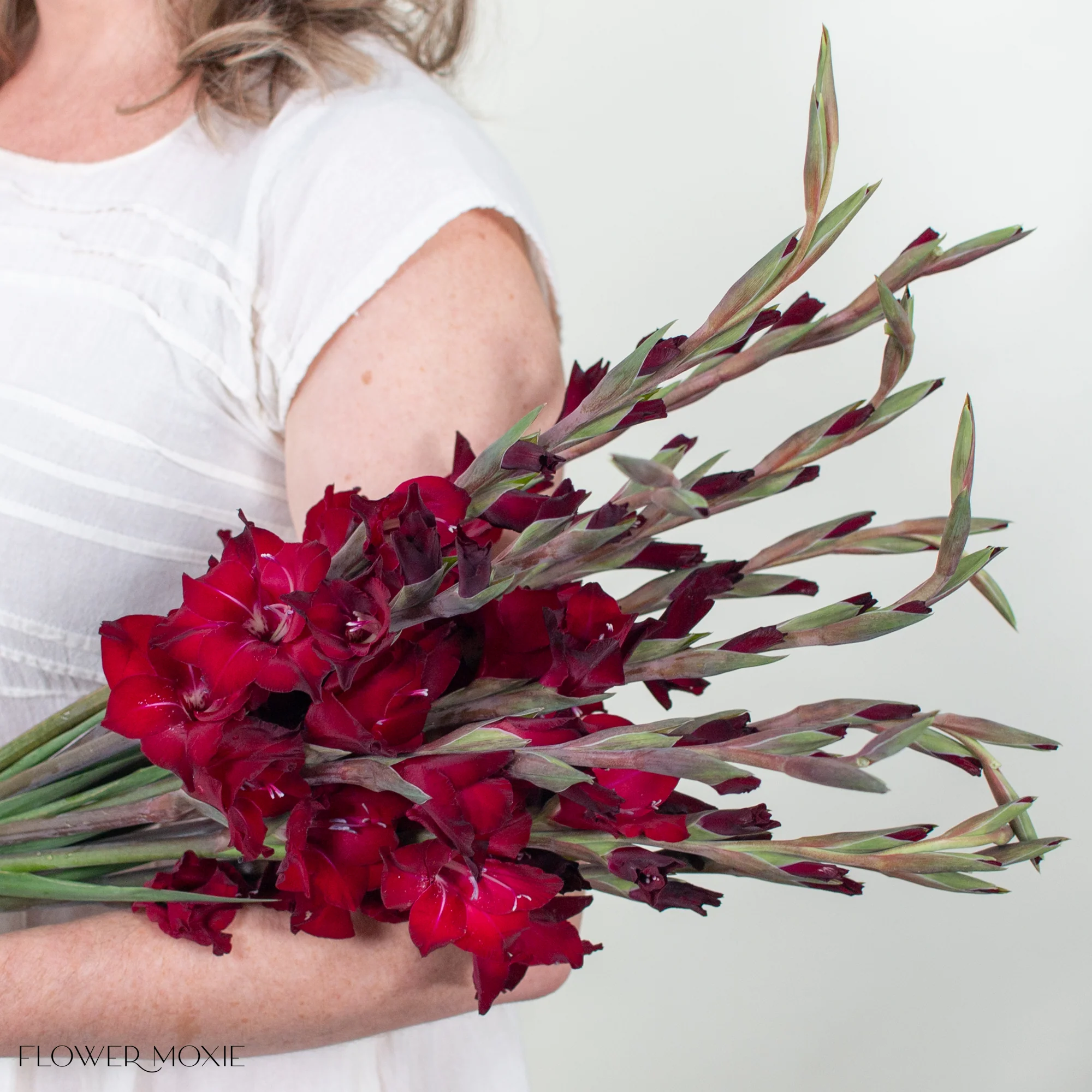 Red Mini Gladiolus Flower - Image 3