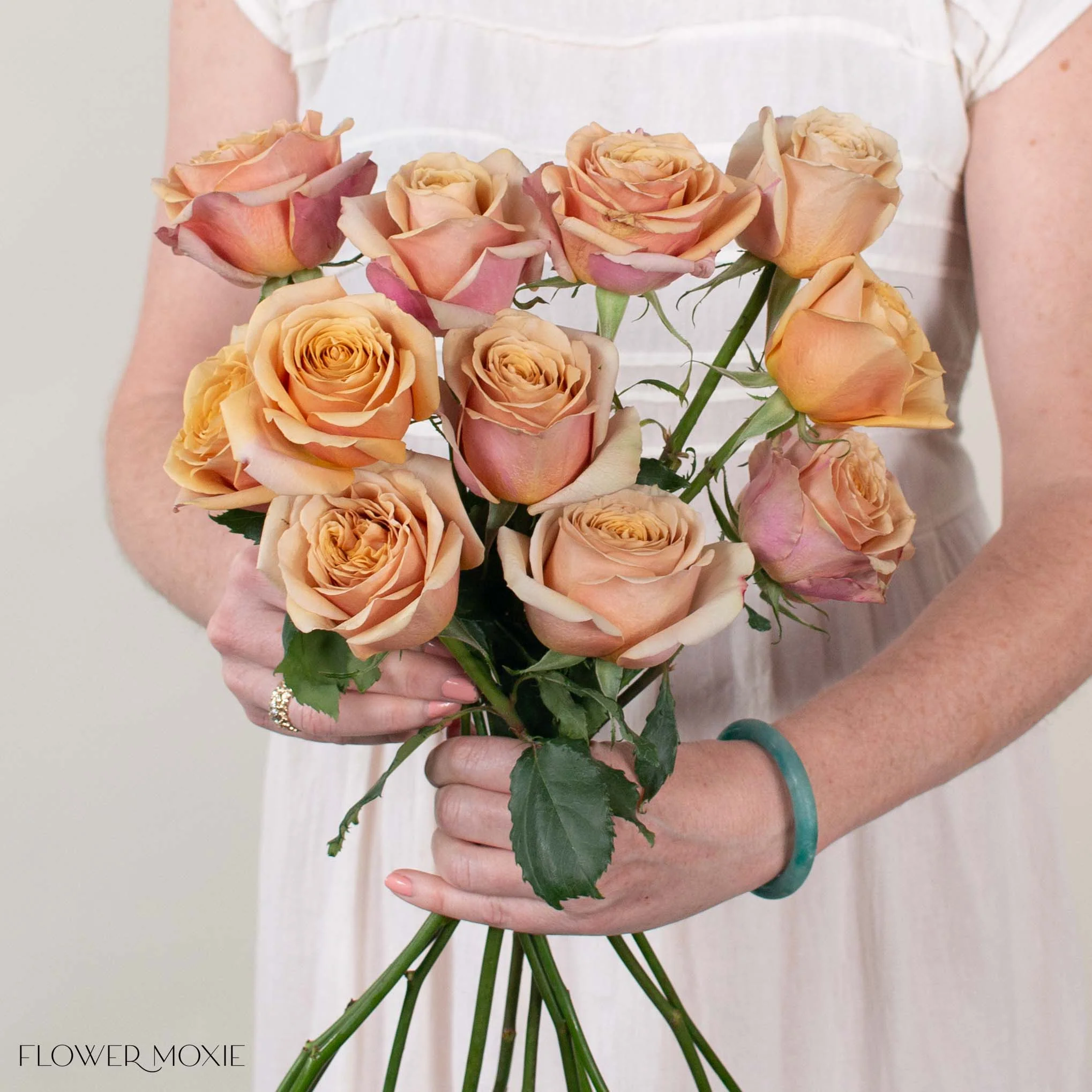 Golden Mustard Garden Rose - Image 3