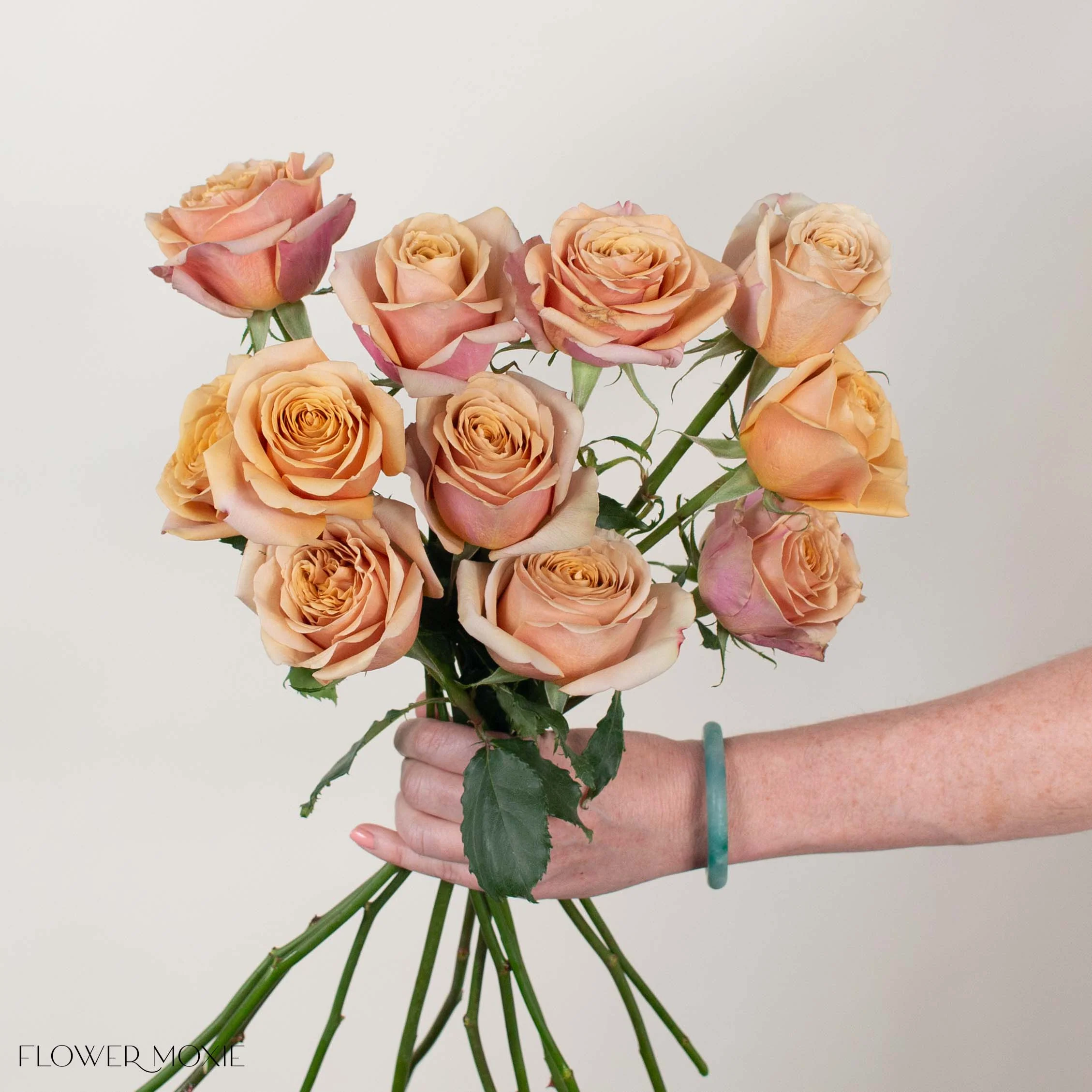 Golden Mustard Garden Rose - Image 4