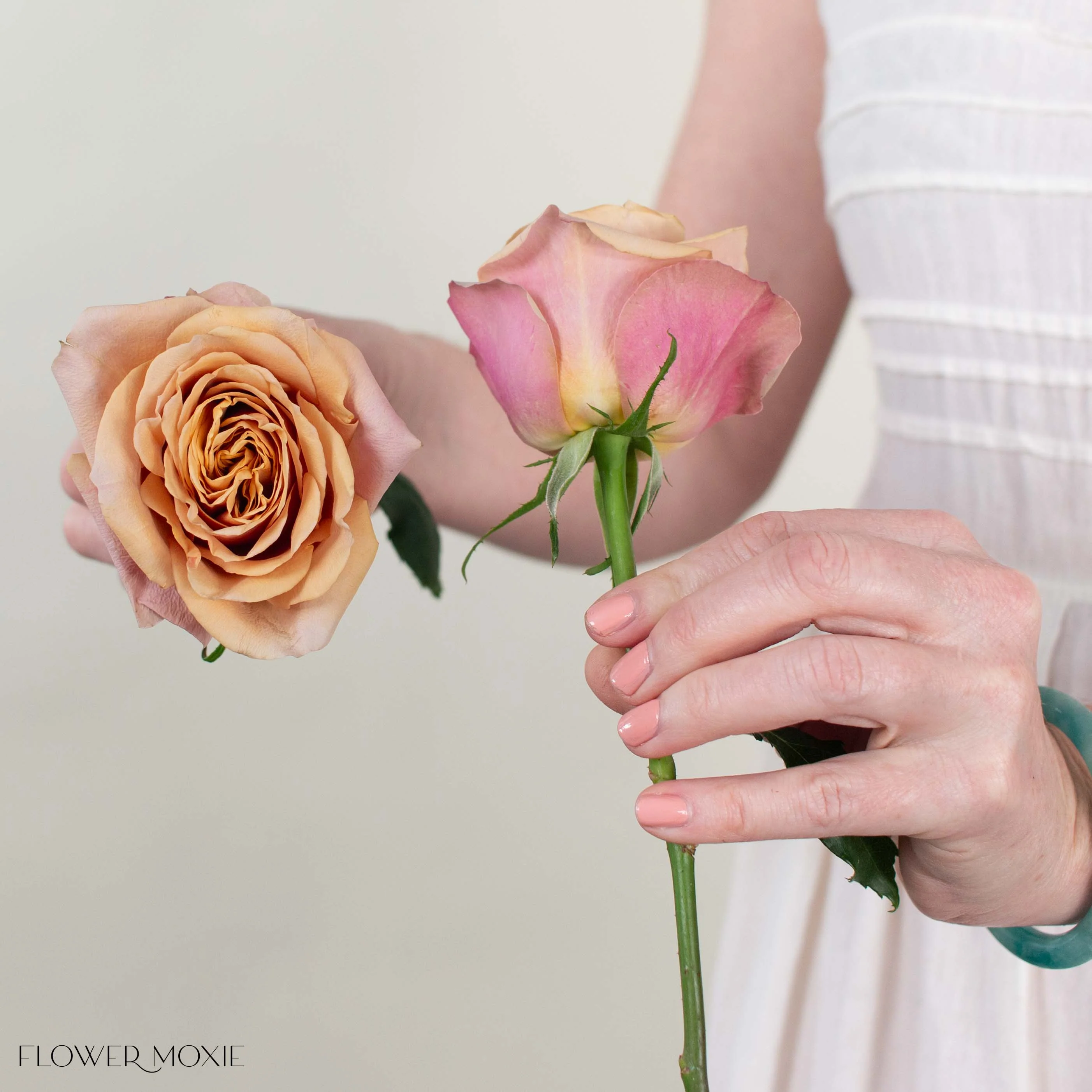 Golden Mustard Garden Rose - Image 5