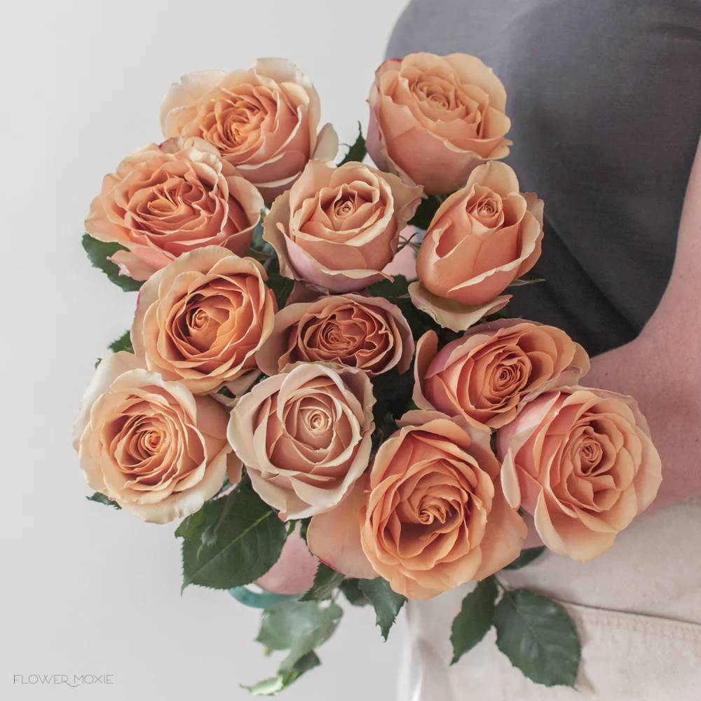 Golden Mustard Garden Rose - Image 9