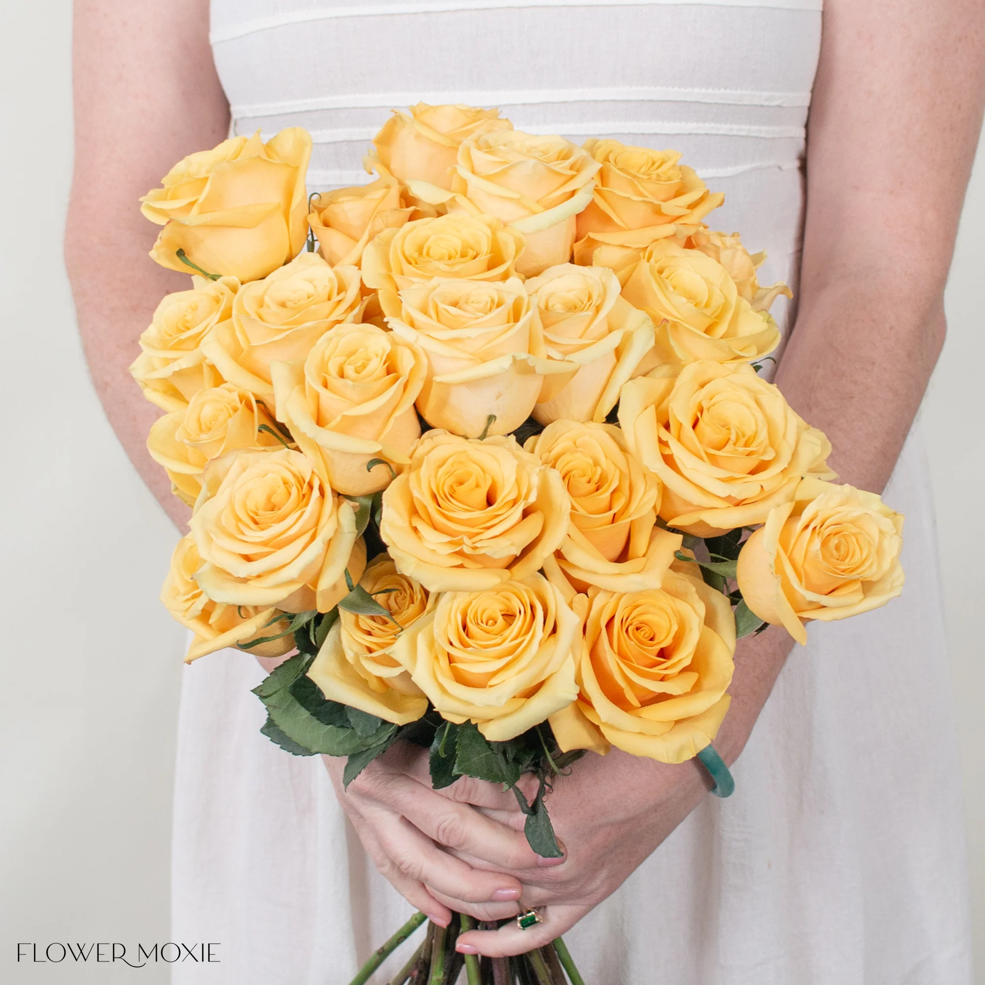 Golden Yellow Bumblebee Rose - Image 2