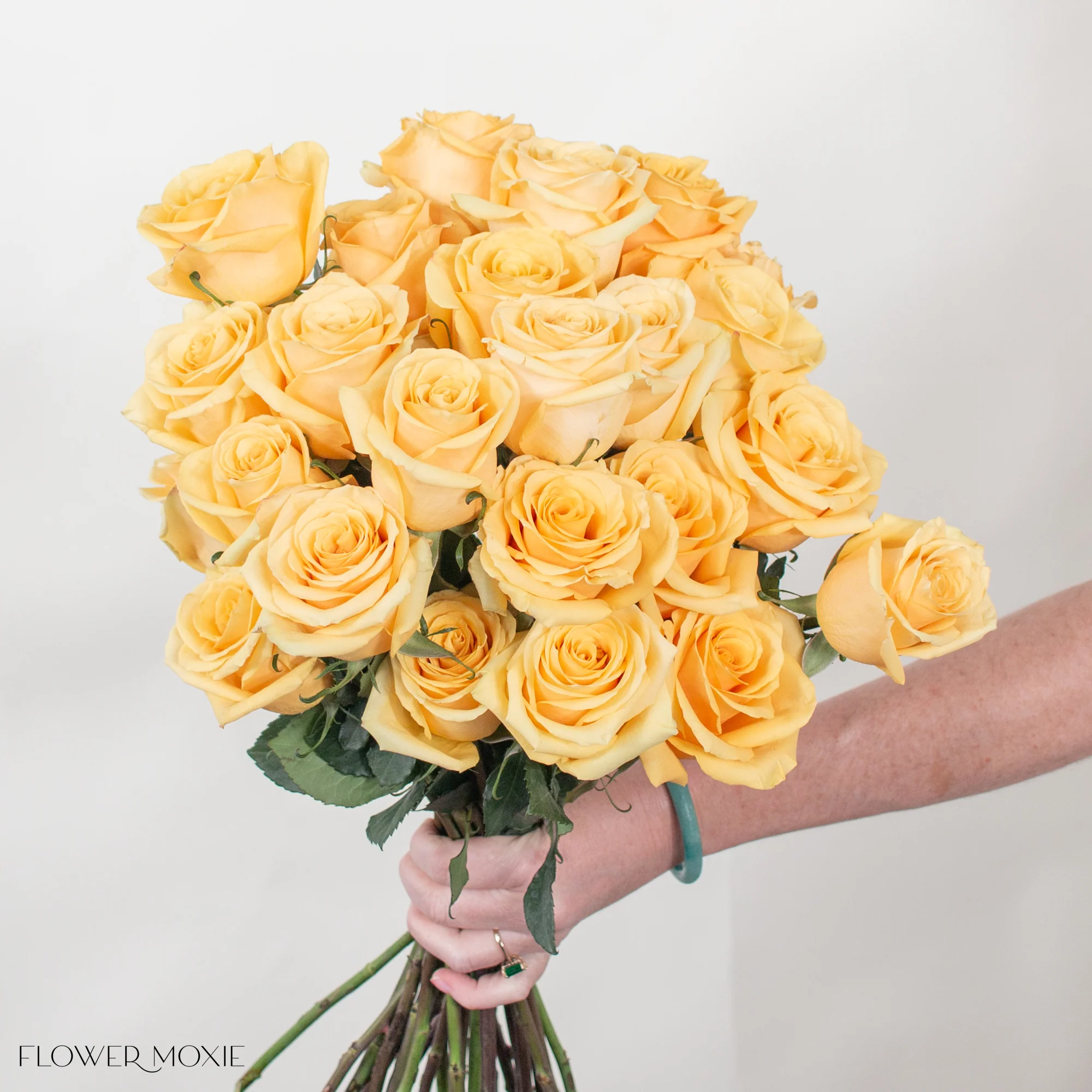 Golden Yellow Bumblebee Rose - Image 3