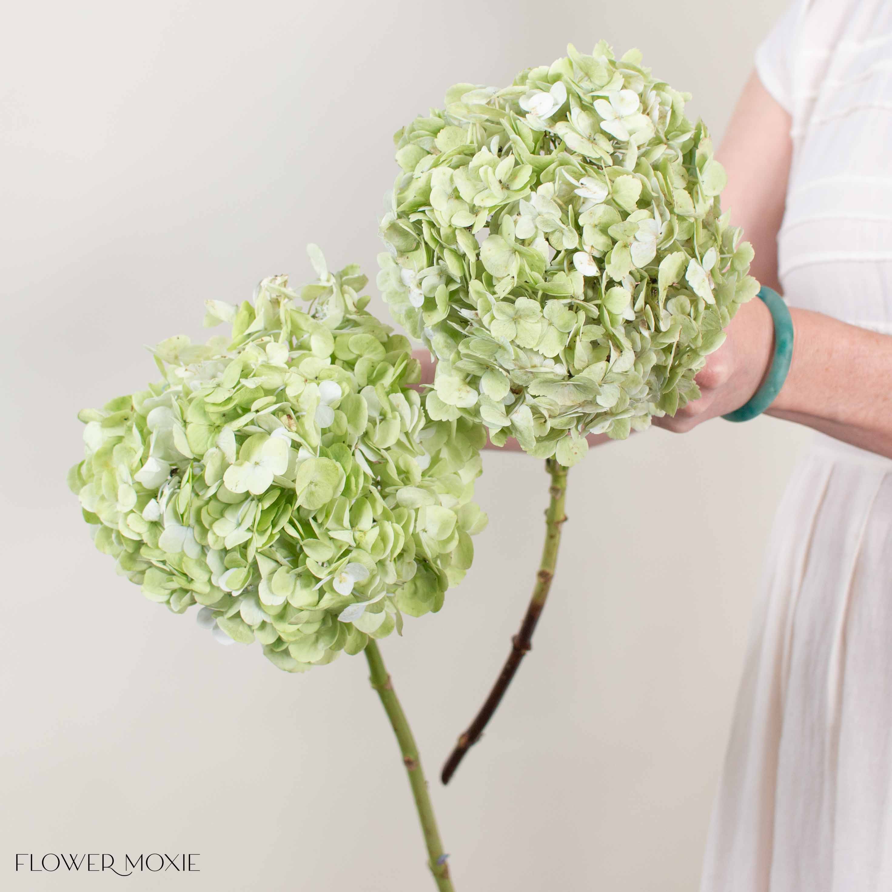 Green Antique Hydrangea Flower - Image 3