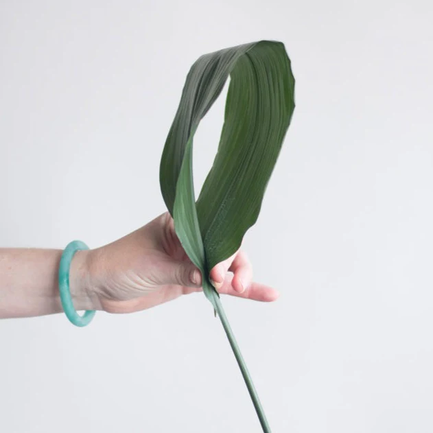 Green Aspidistra Leaf Greenery - Image 3