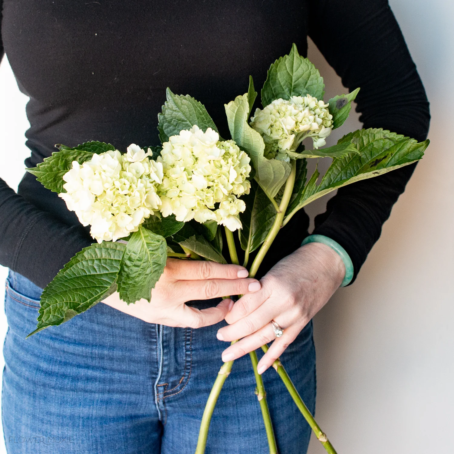 Green Baby Hydrangea Flower - Image 8