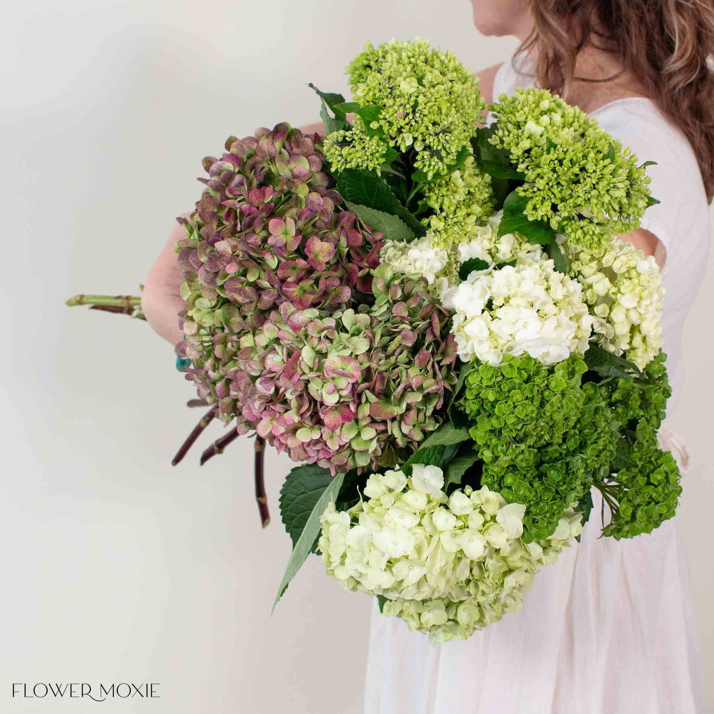 Green Blend and Burgundy Hydrangea Mixed Box - Image 6