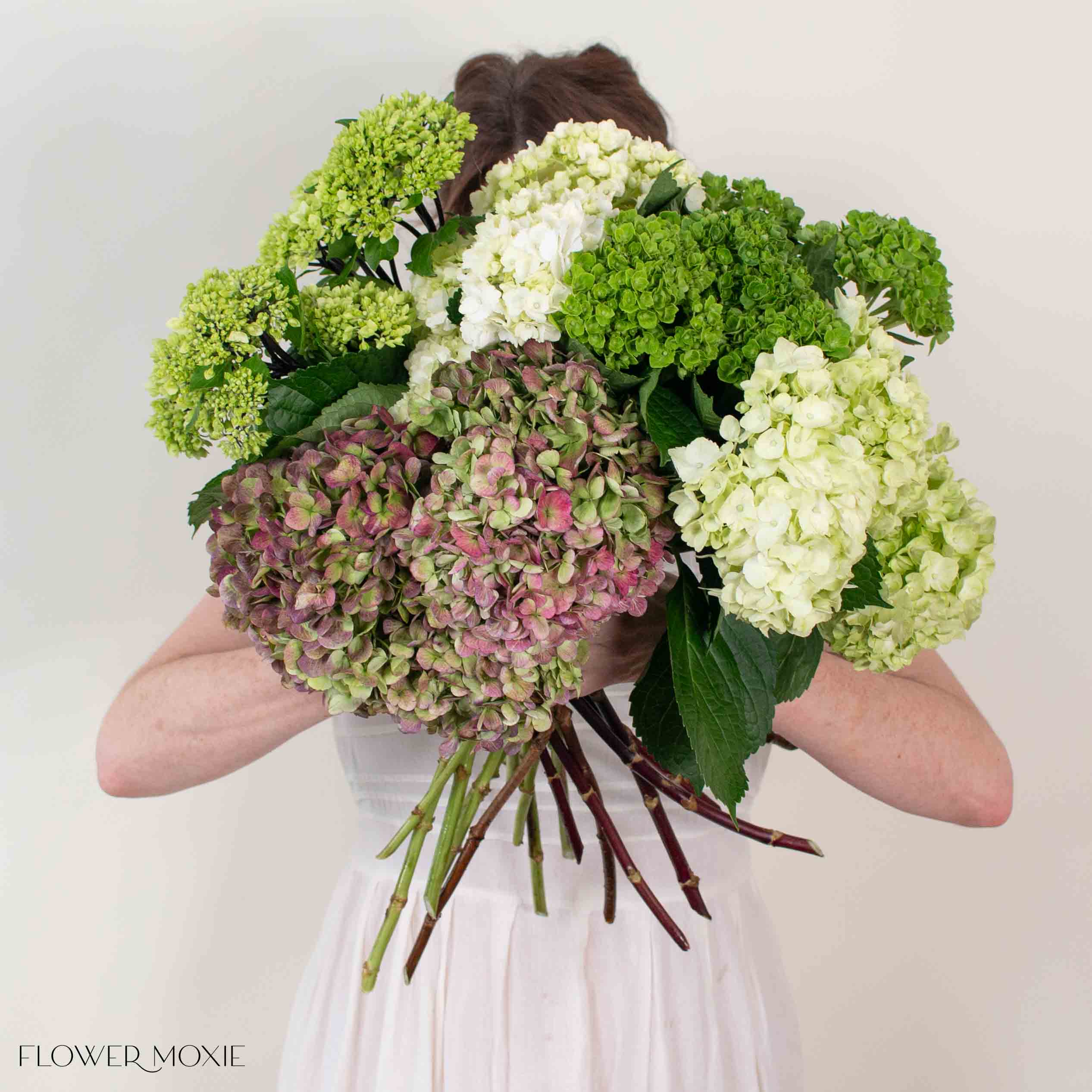 Green Blend and Burgundy Hydrangea Mixed Box - Image 7