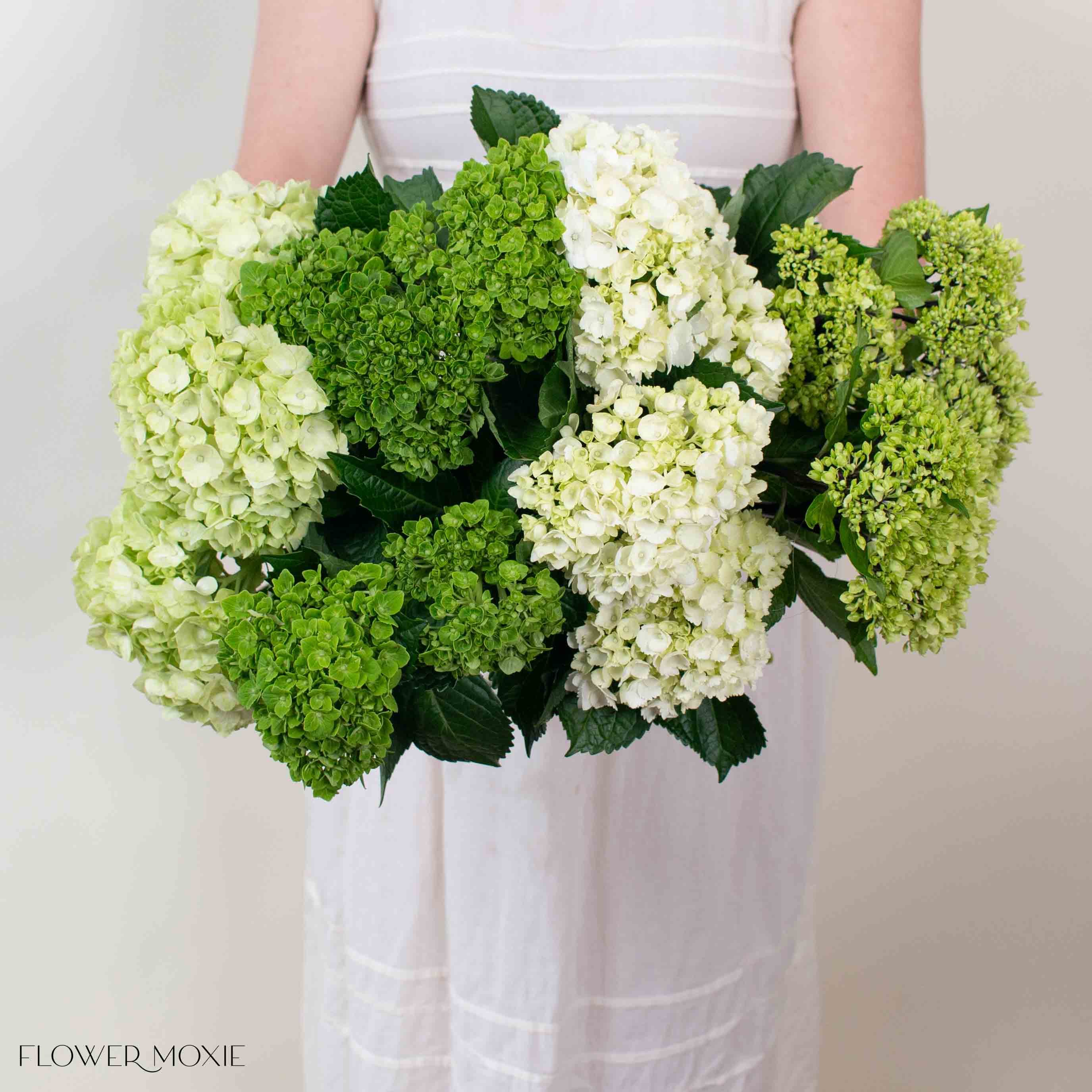 Green Blend Hydrangea Mixed Box - Image 3
