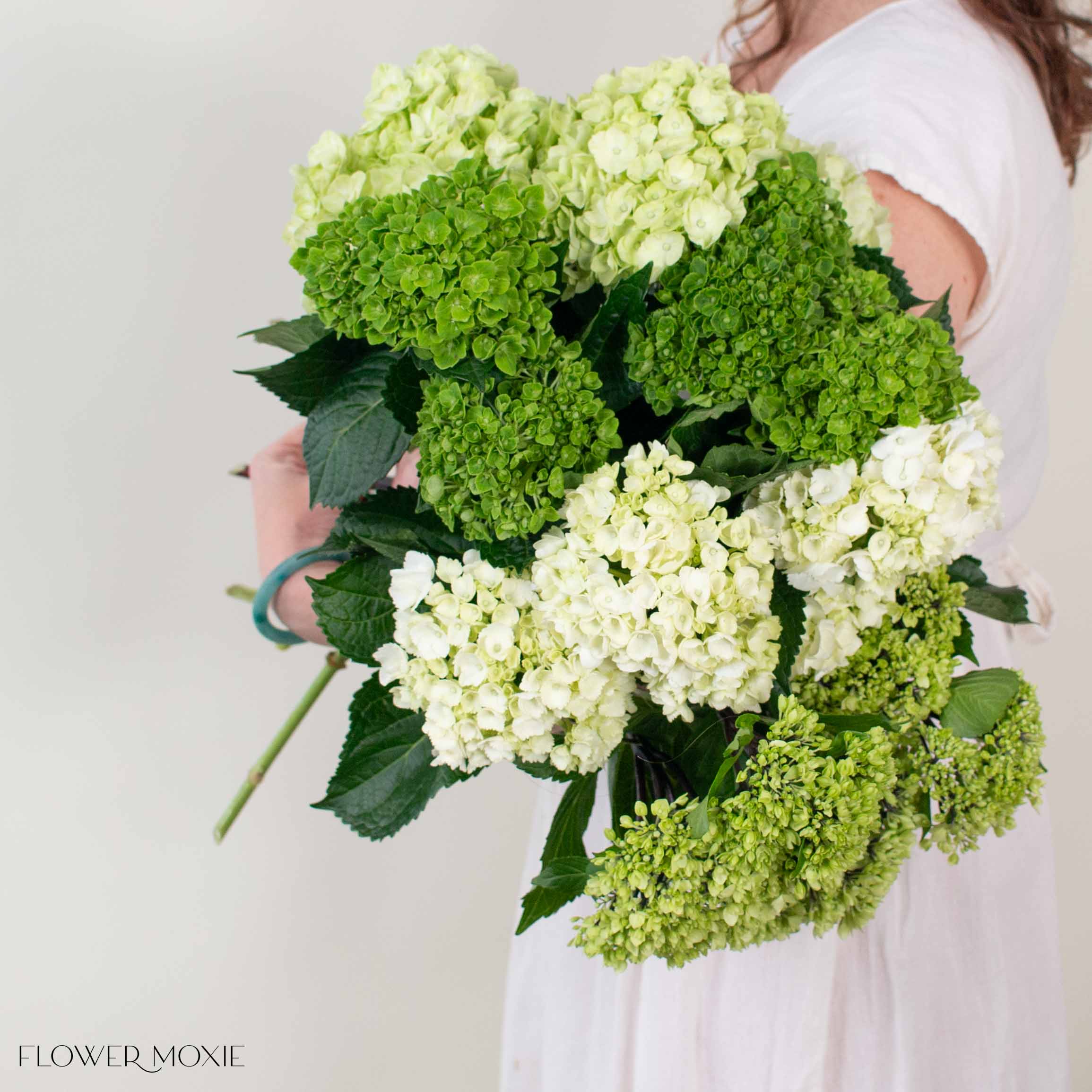 Green Blend Hydrangea Mixed Box - Image 4