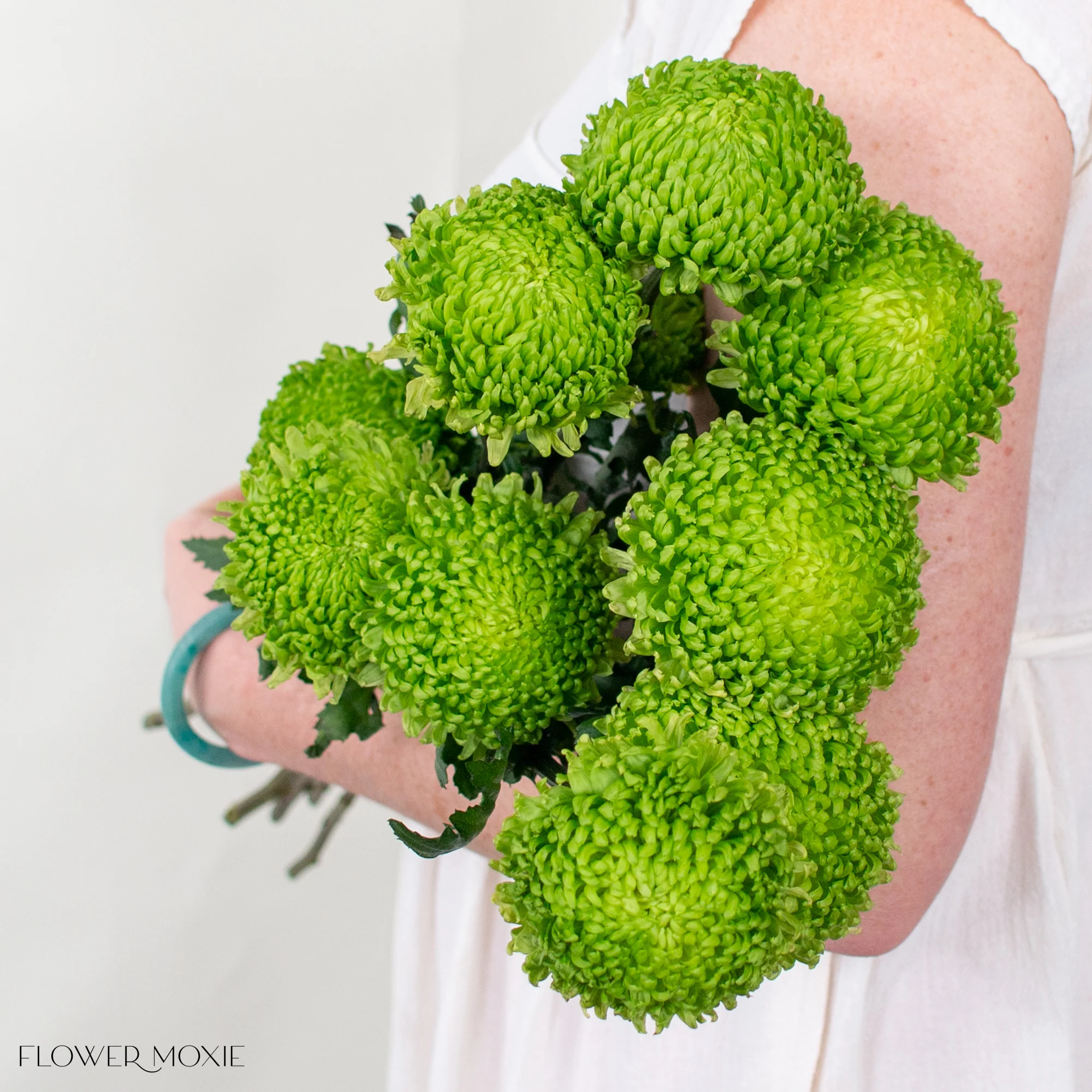 Green Cremone Flower