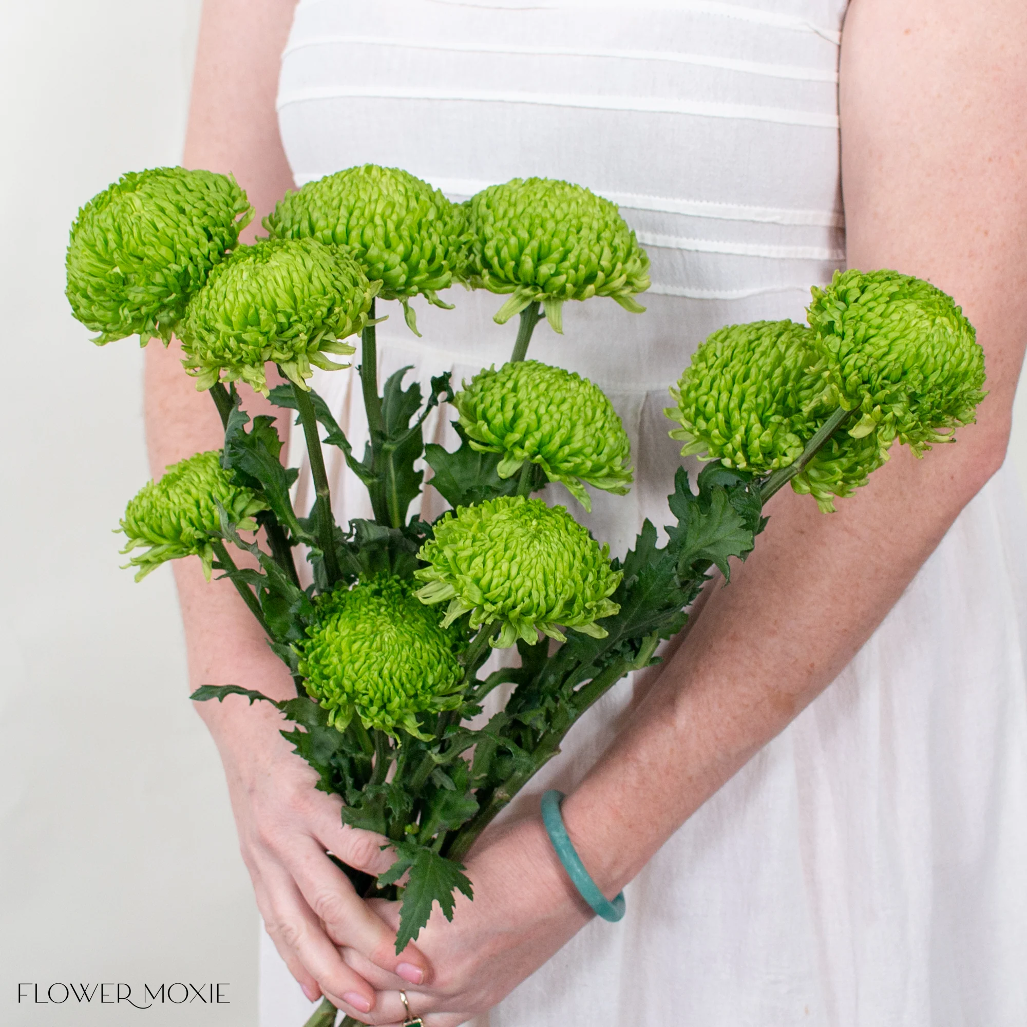 Green Cremone Flower - Image 2