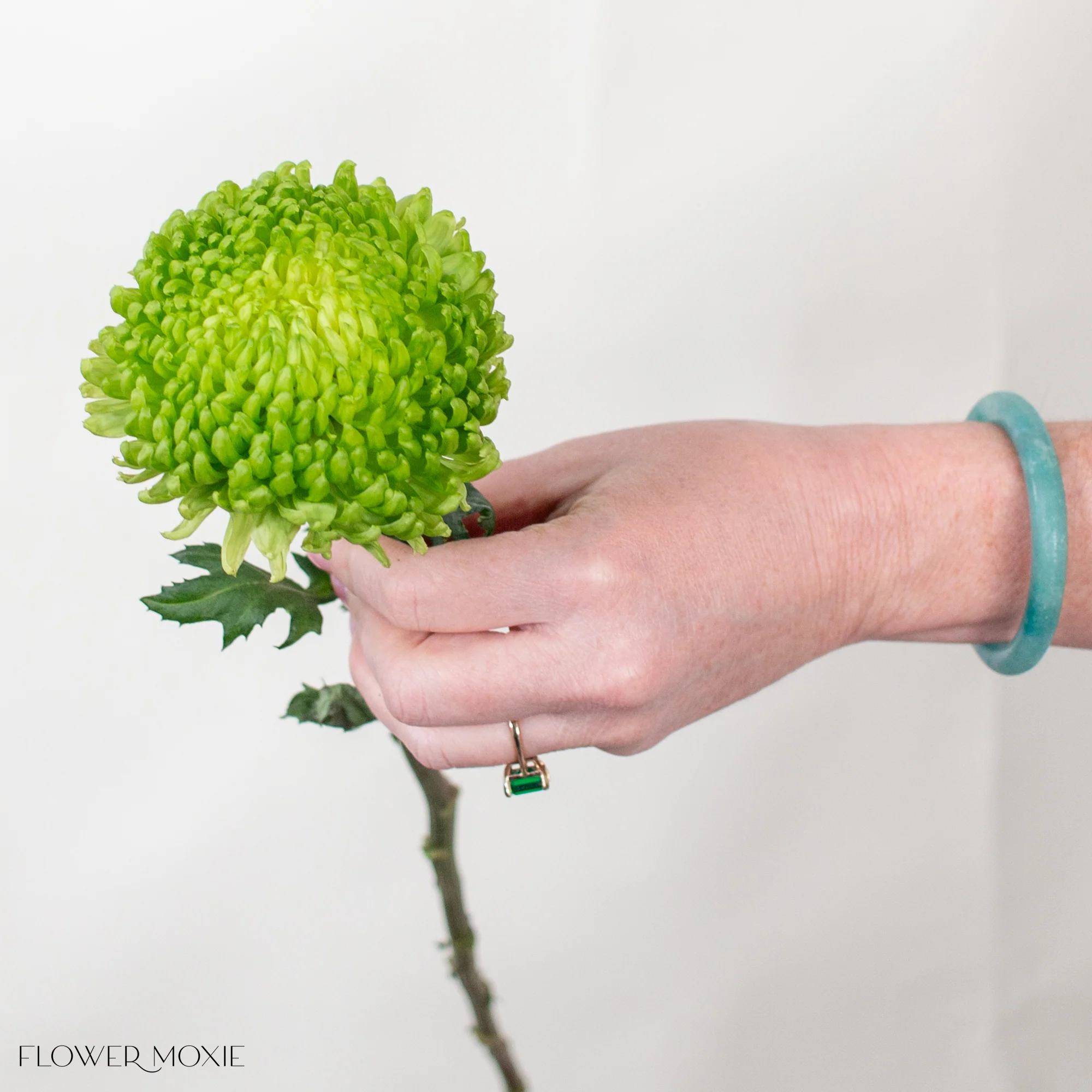 Green Cremone Flower - Image 3