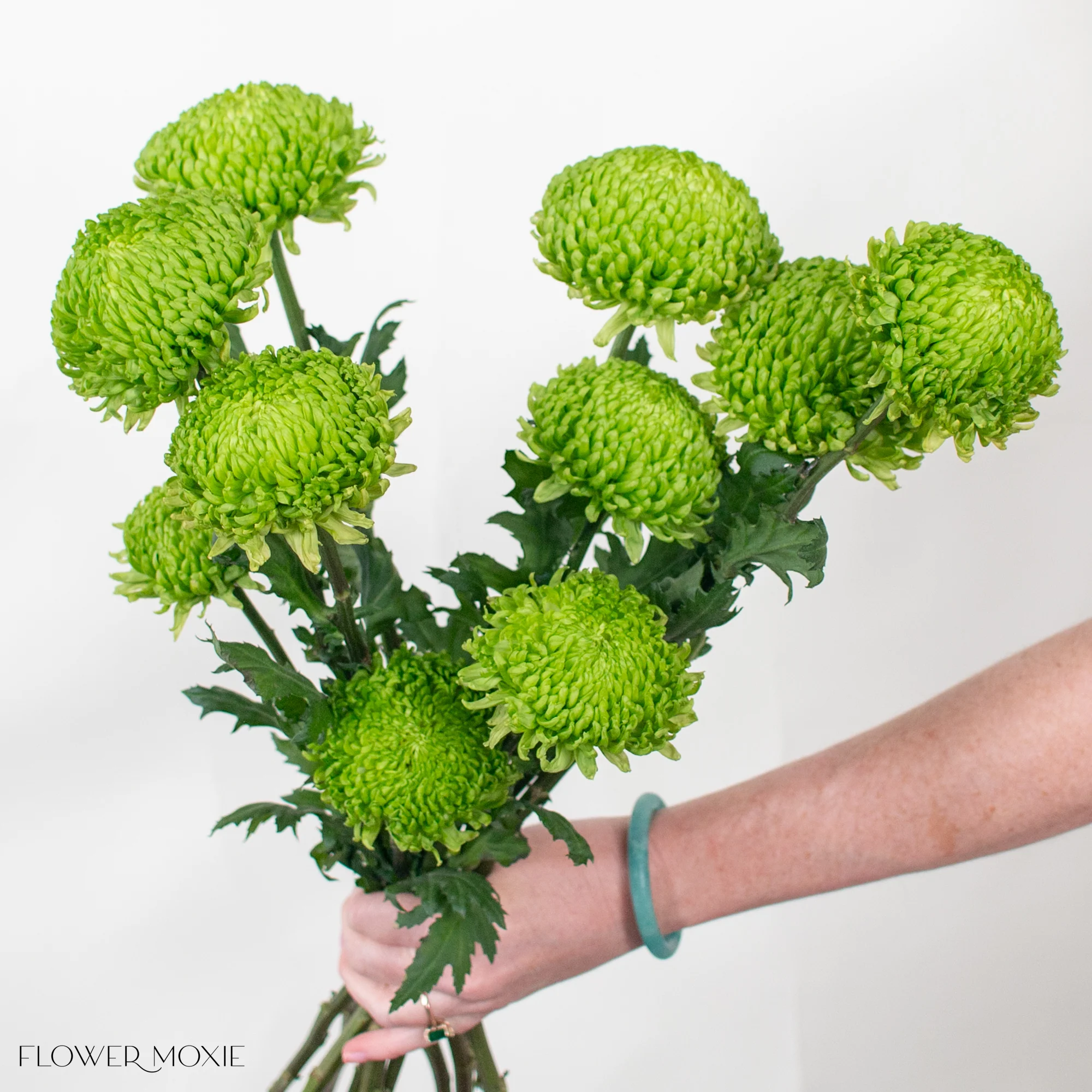 Green Cremone Flower - Image 4