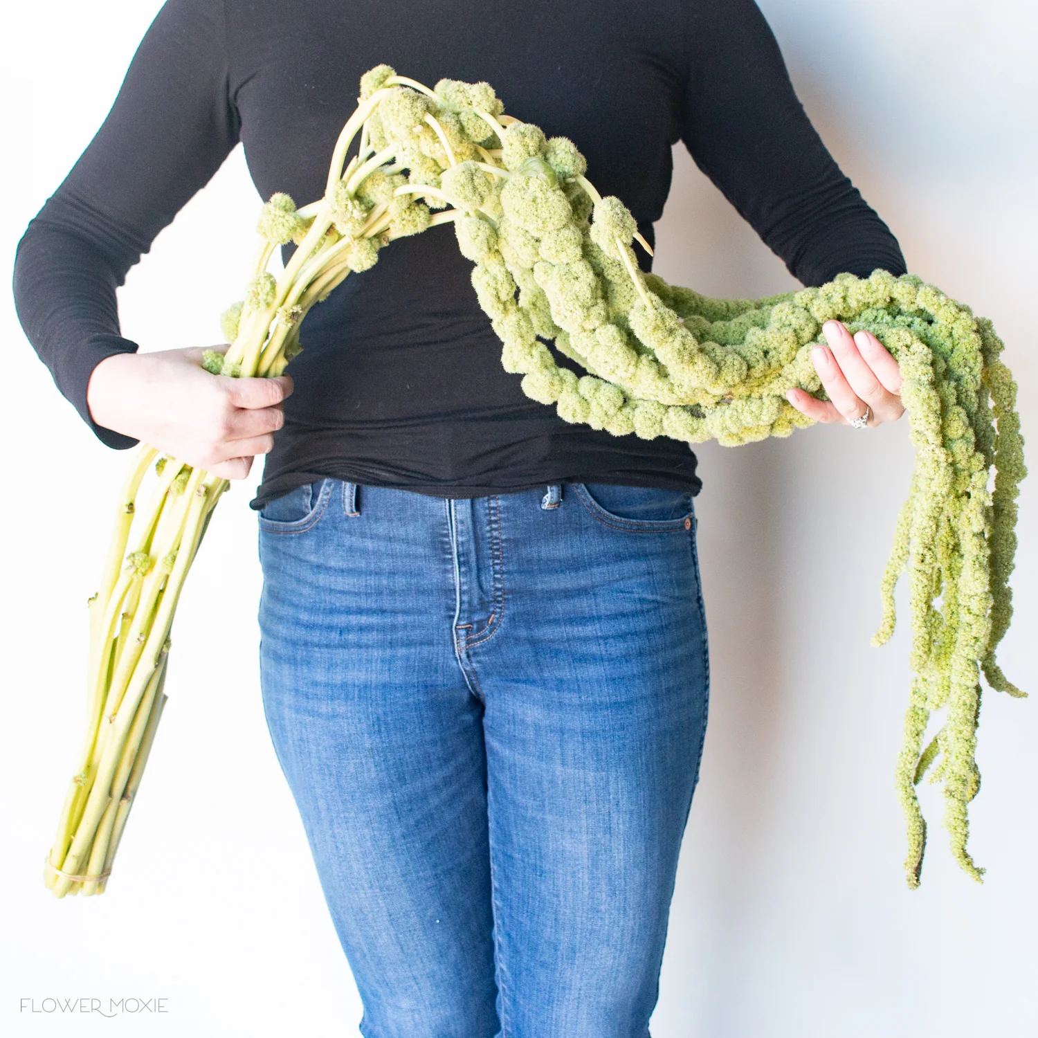 Green Hanging Amaranthus Flower - Image 10