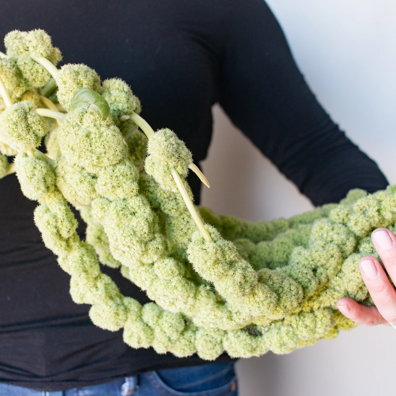 Green Hanging Amaranthus Flower - Image 12