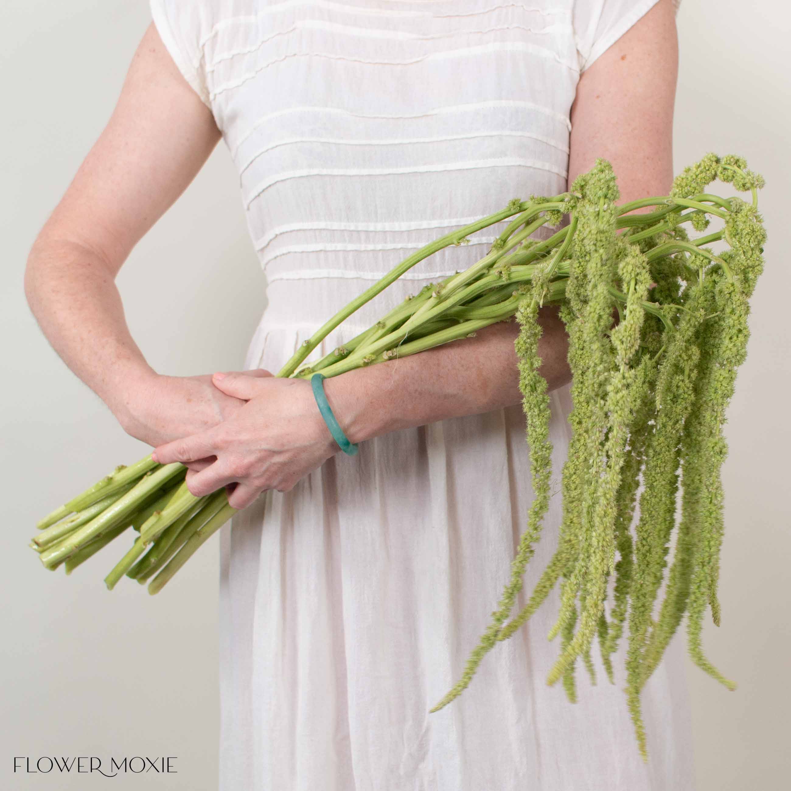 Green Hanging Amaranthus Flower - Image 4