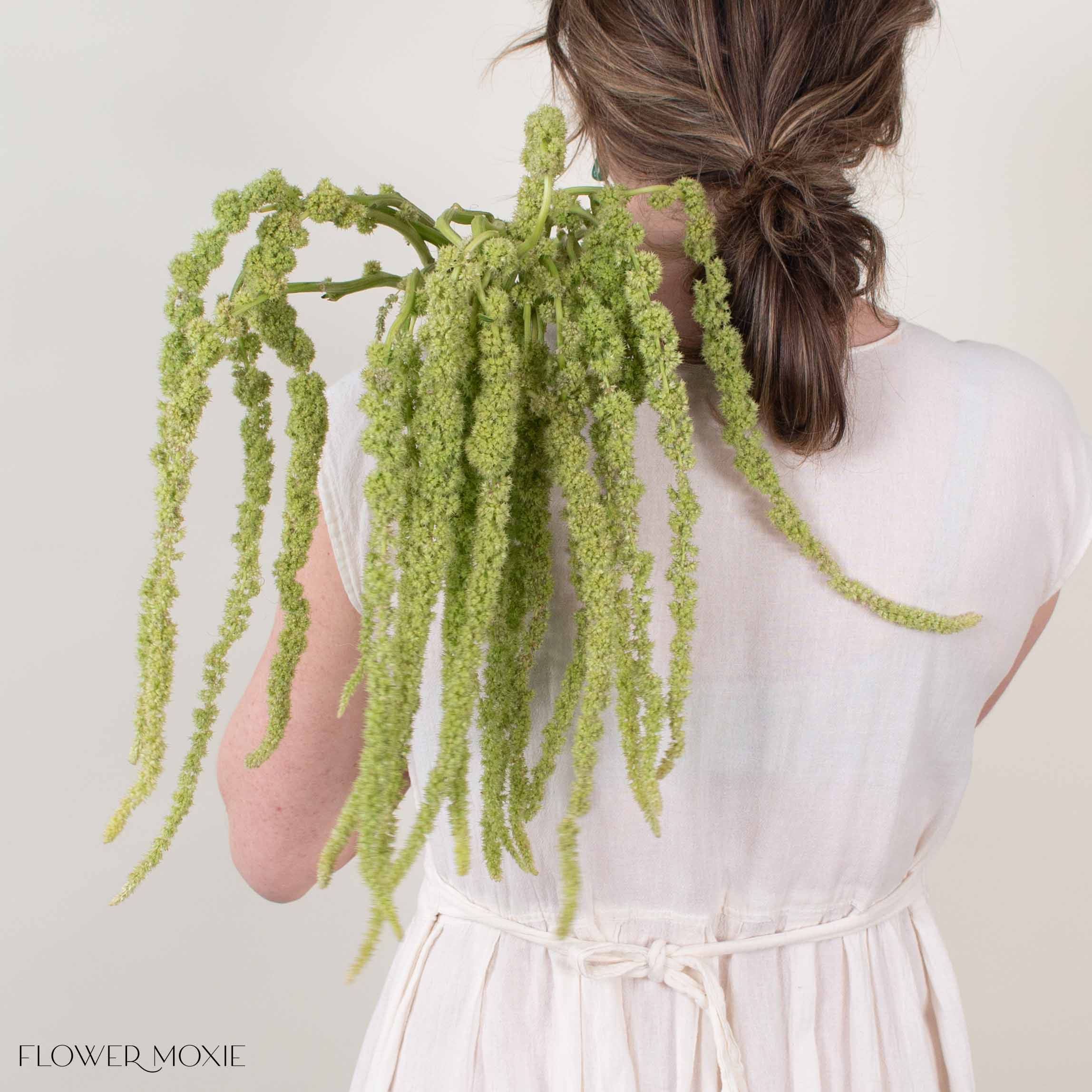Green Hanging Amaranthus Flower - Image 5