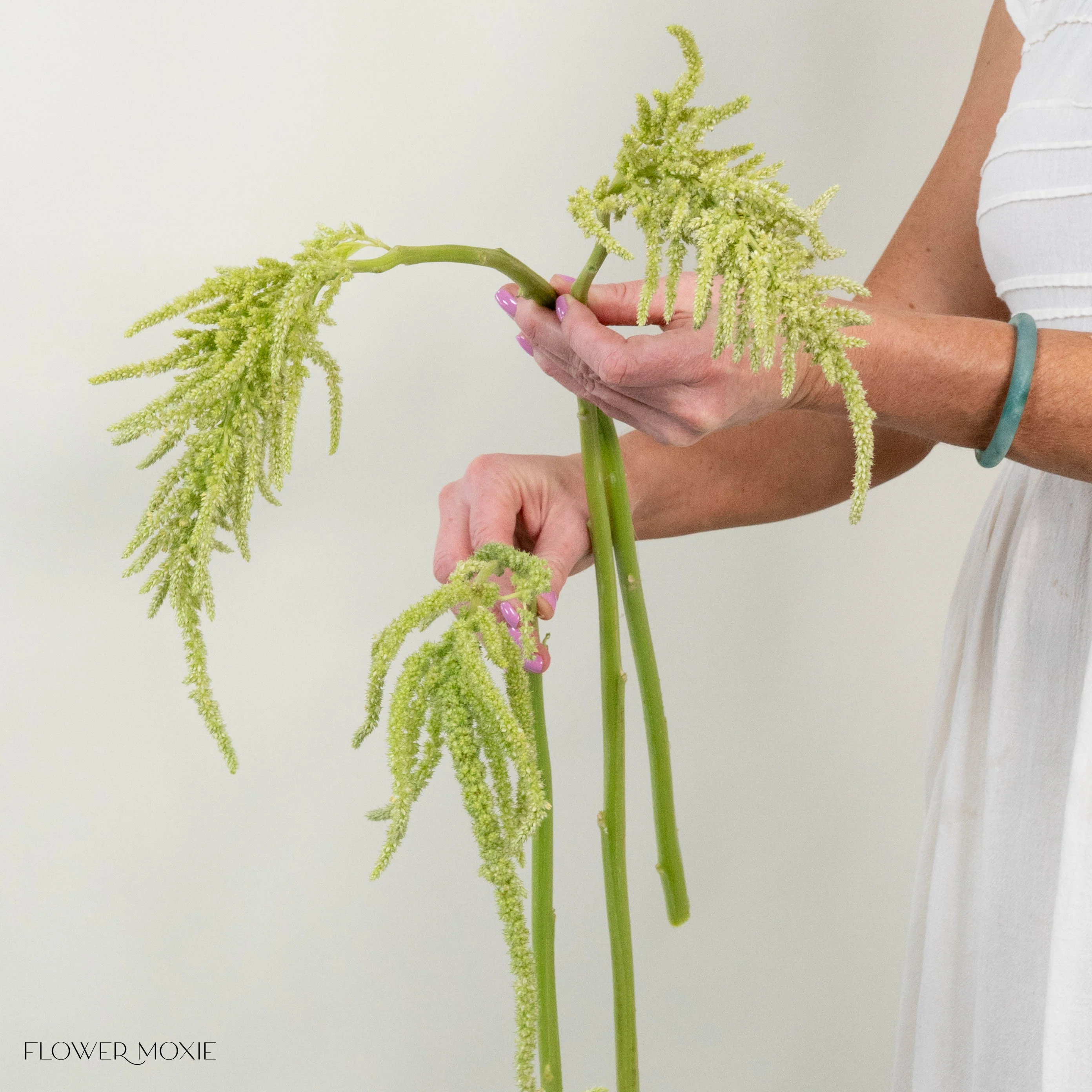 Green Hanging Amaranthus Flower - Image 6