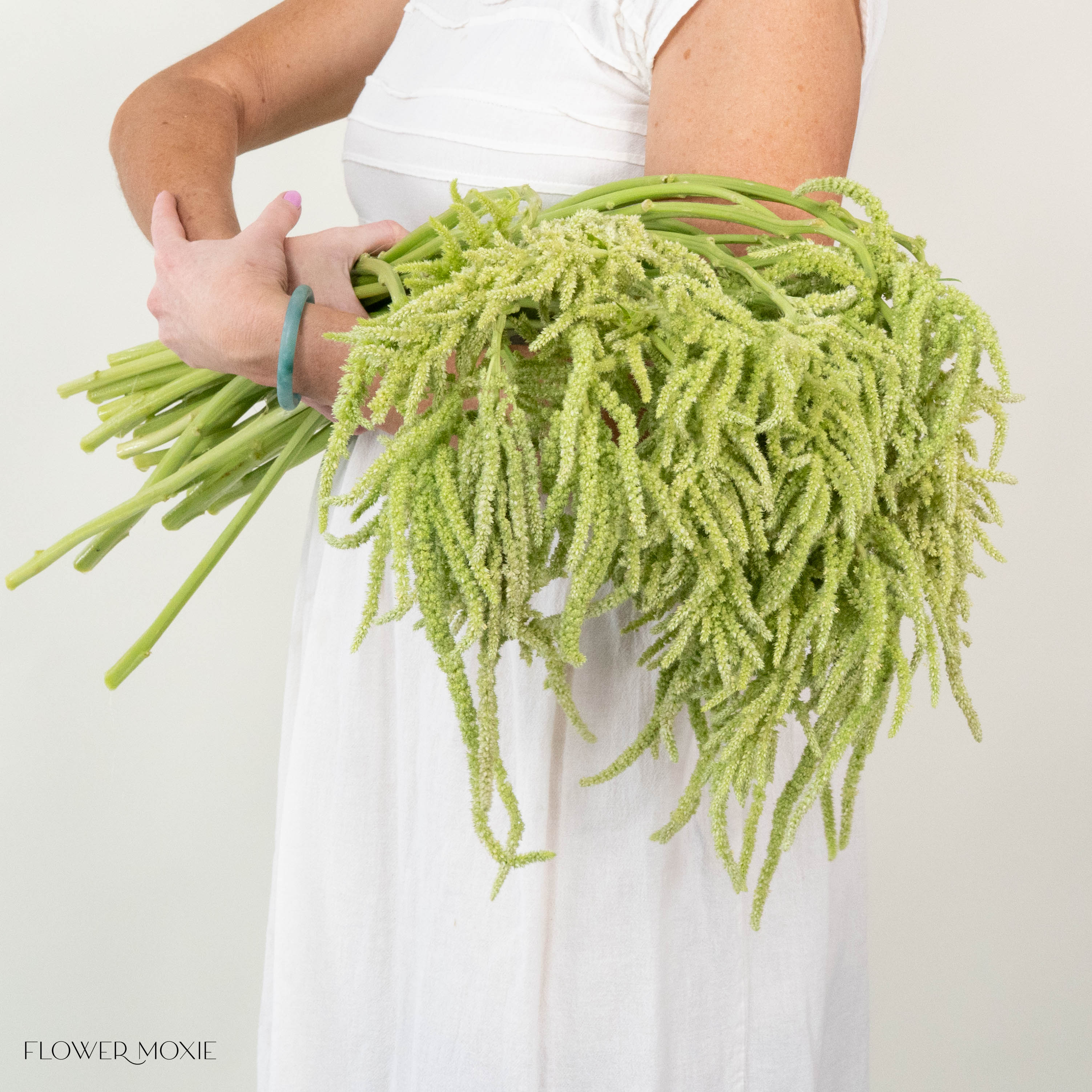 Green Hanging Amaranthus Flower - Image 7