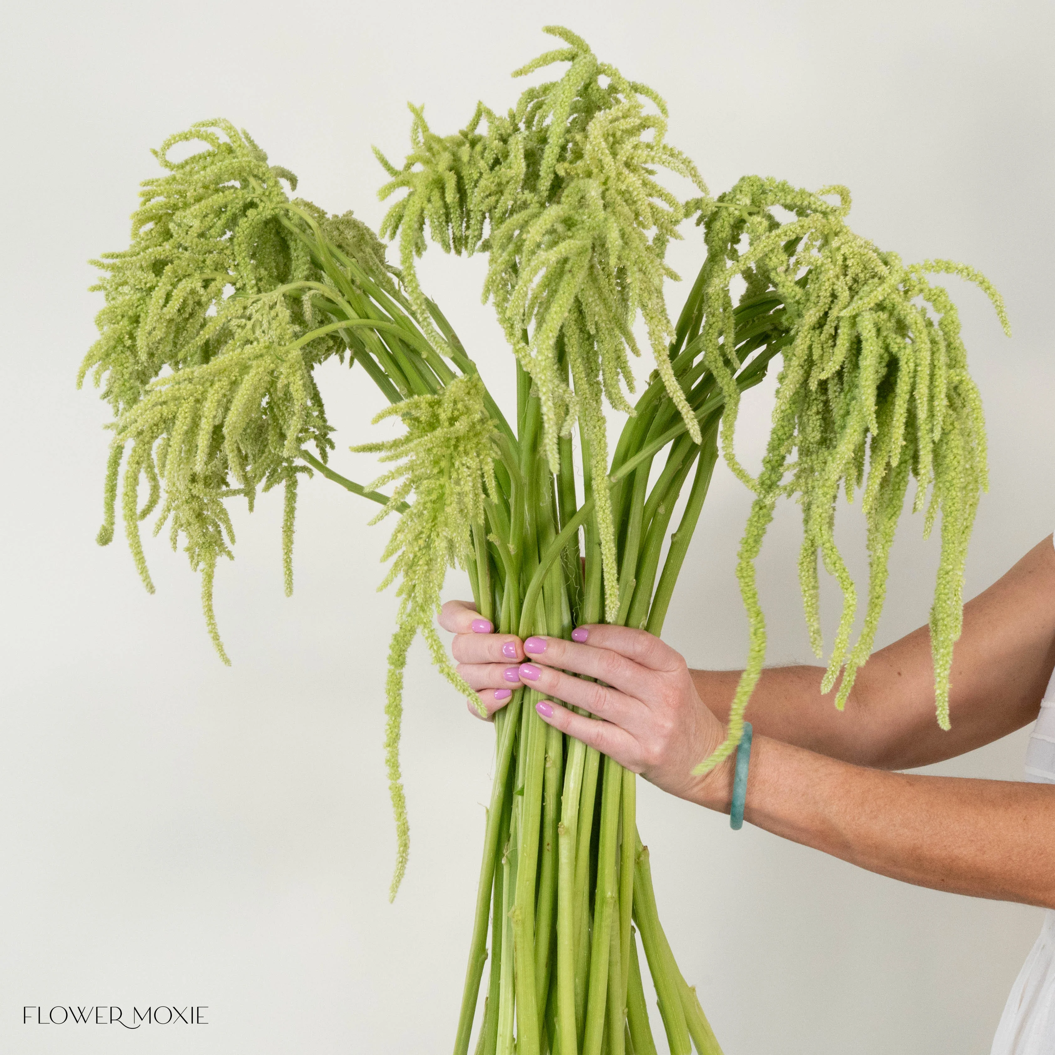 Green Hanging Amaranthus Flower - Image 8