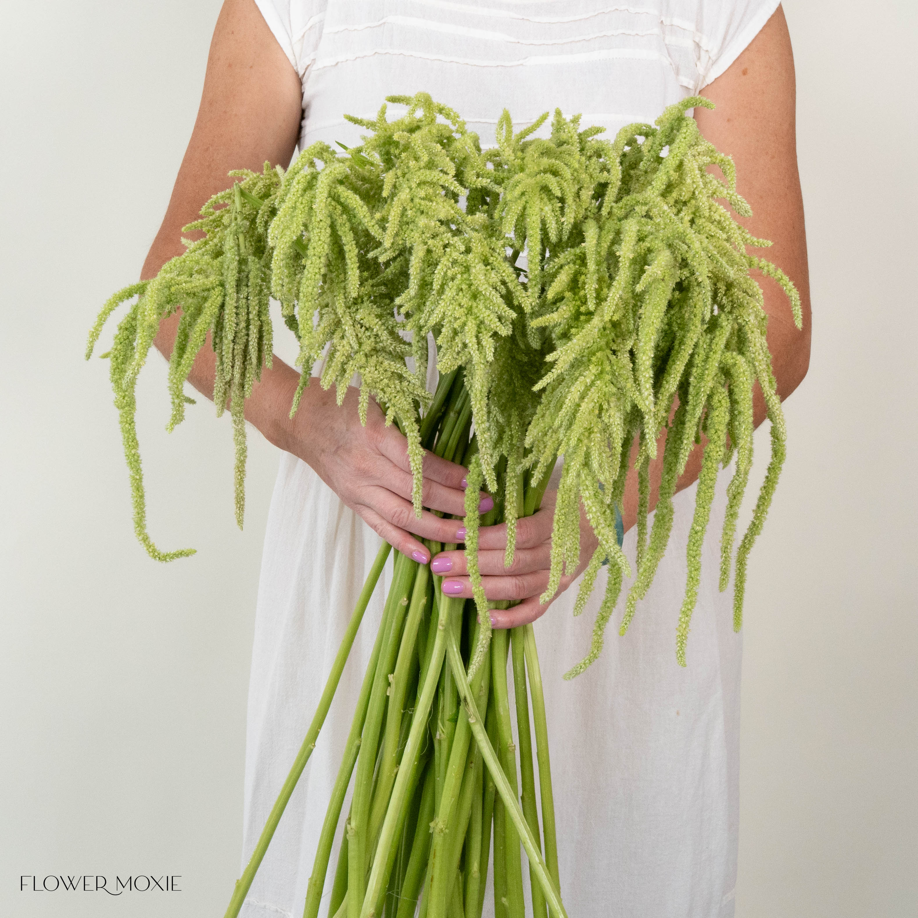 Green Hanging Amaranthus Flower - Image 9