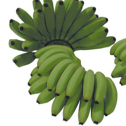 Green Mini Bananas