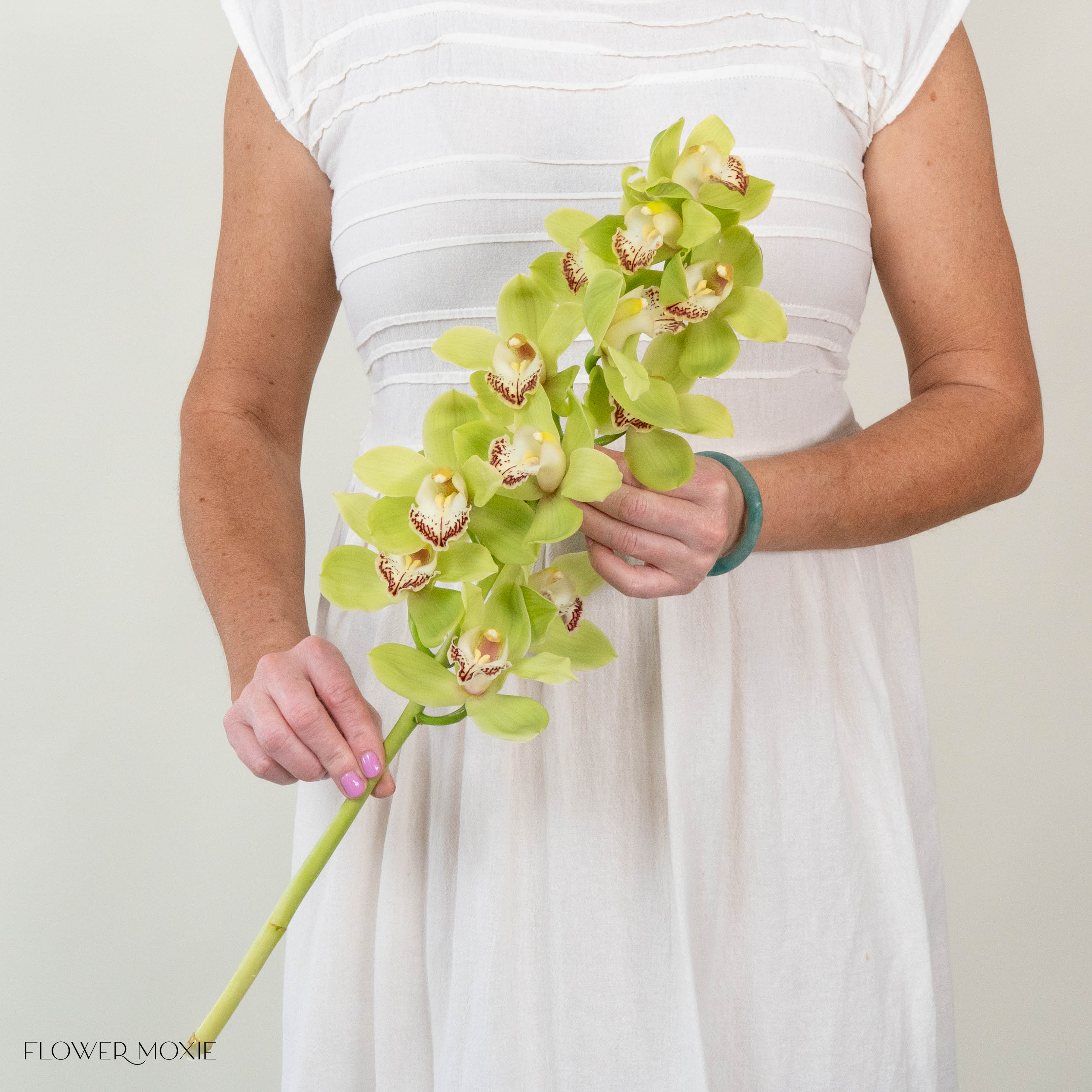 Green Standard Cymbidium Orchid Flower - Image 5
