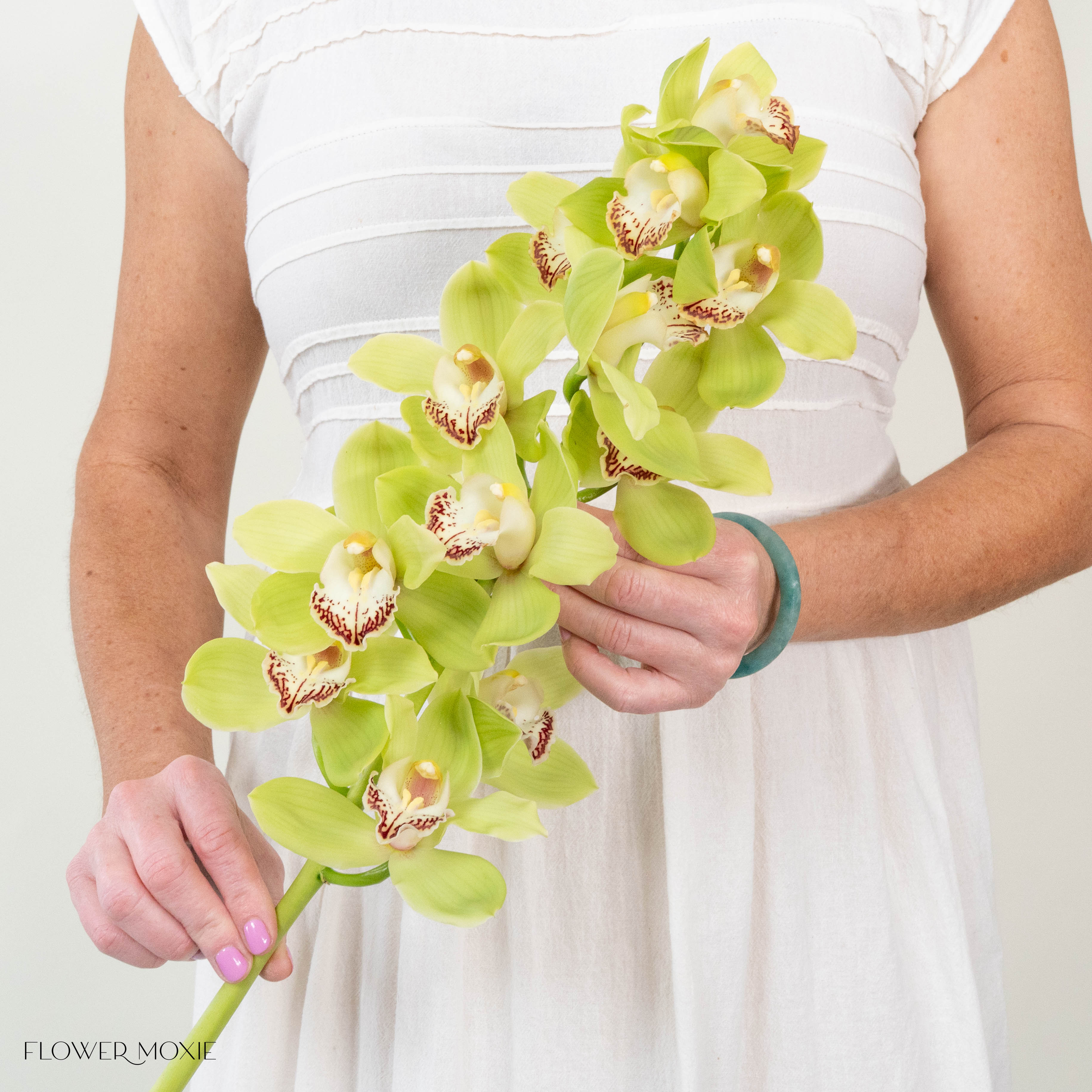 Green Standard Cymbidium Orchid Flower - Image 6