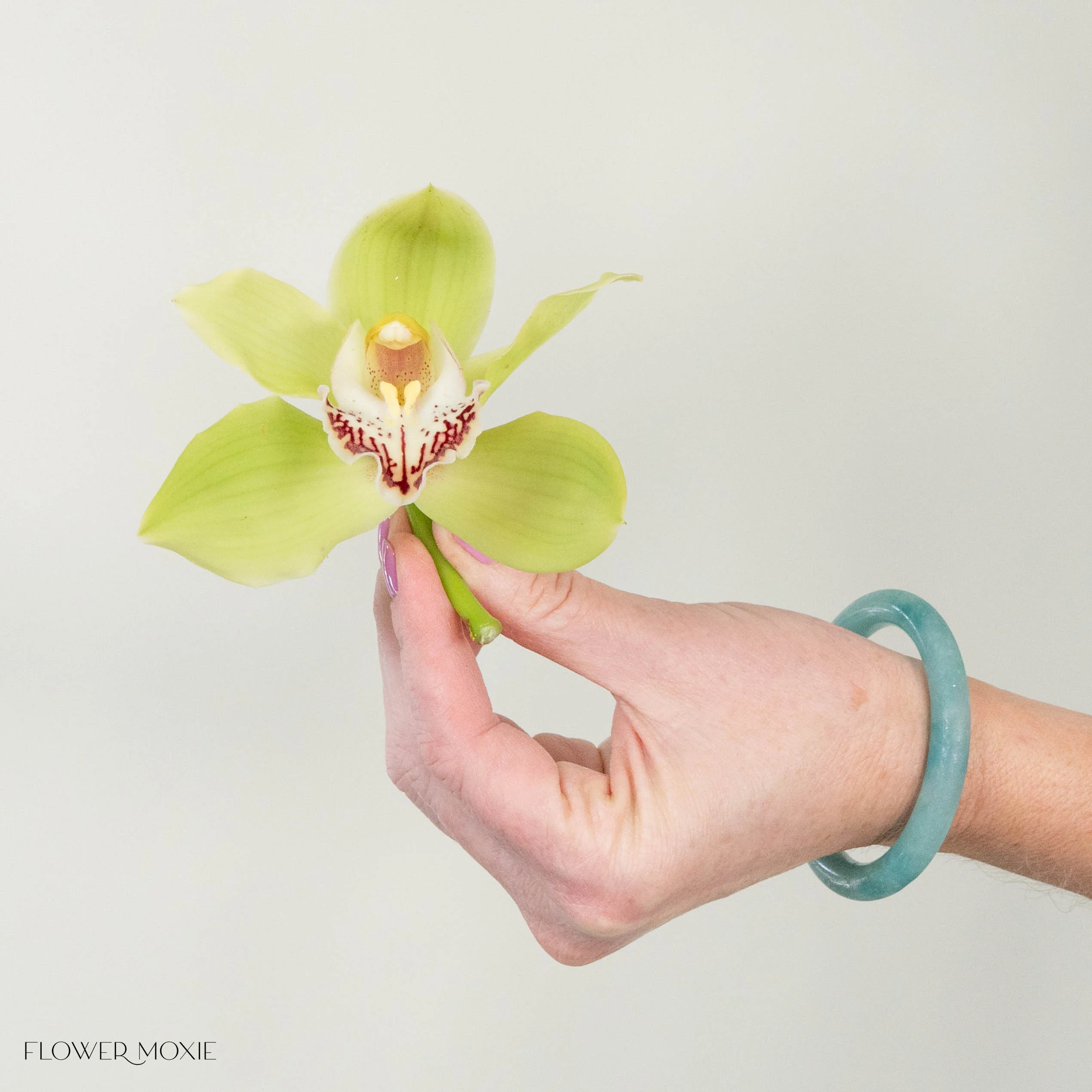Green Standard Cymbidium Orchid Flower - Image 9
