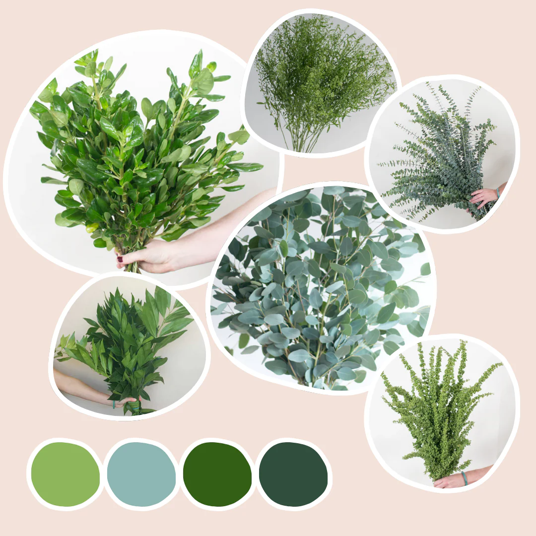 Greenery Mixed Box – Evergreen Mix