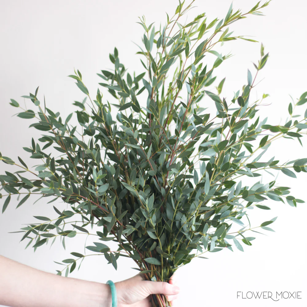 Gunni Eucalyptus Greenery
