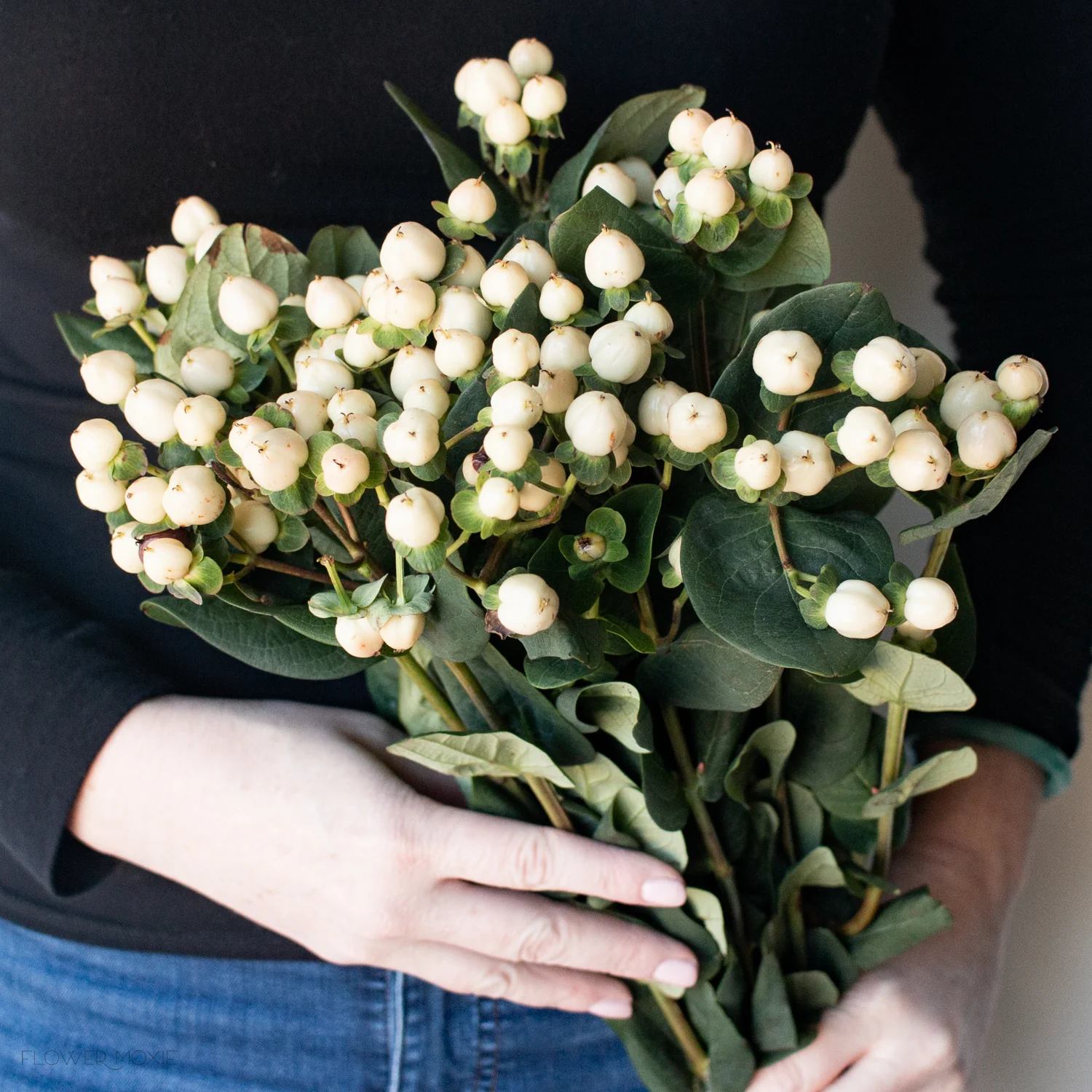 Cream Hypericum Berries - Image 3